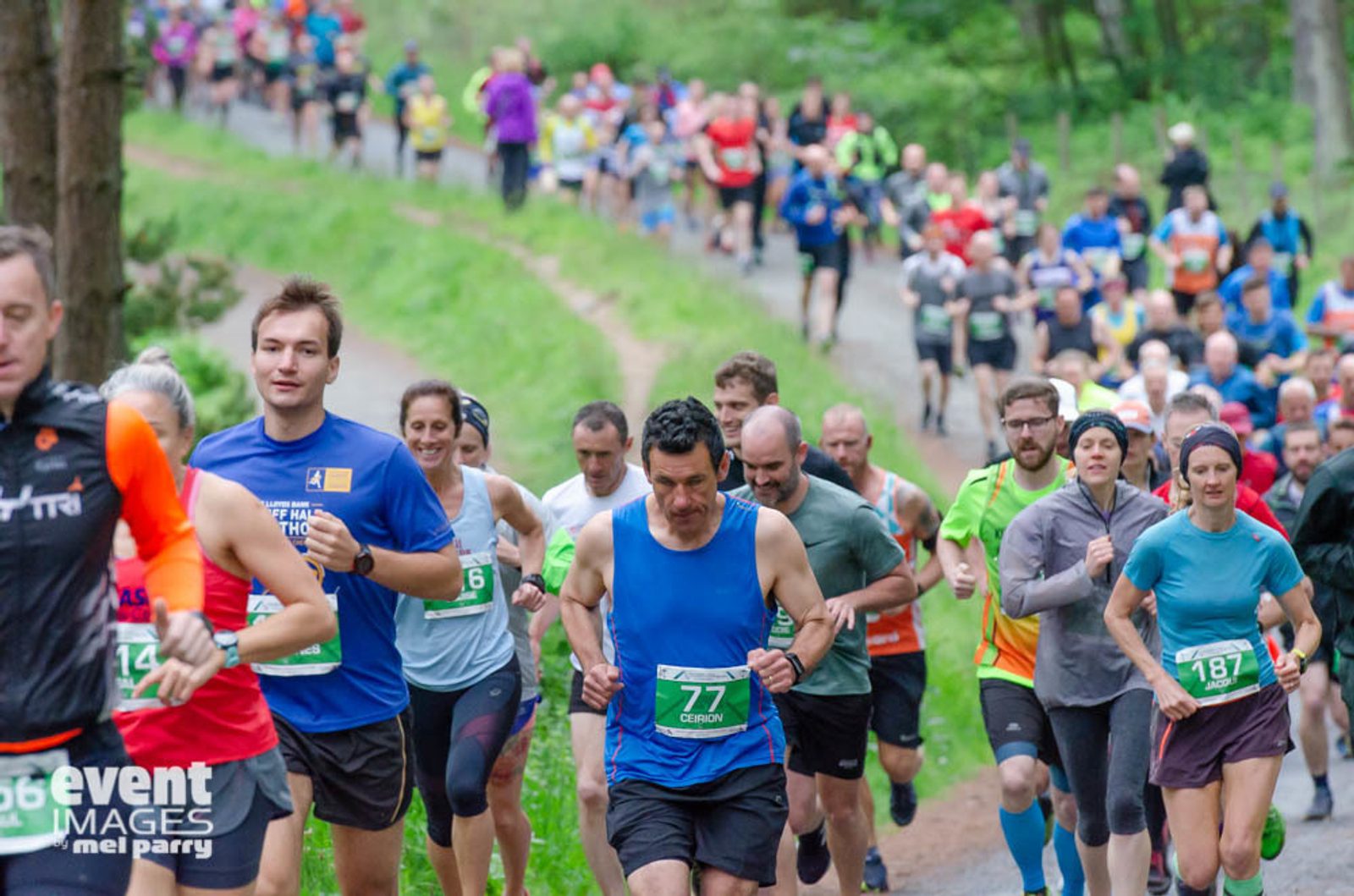 A large group of runners participate in an outdoor race on a forested path. They wear various colorful athletic outfits and numbered bibs. The environment is lush and green, indicating a trail through a park or woodland area. Some spectators are visible in the background.
