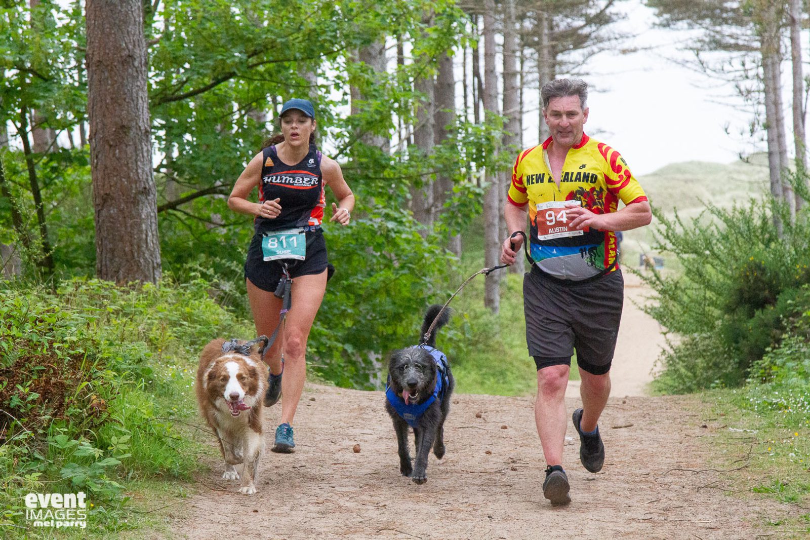 Two runners are jogging with their dogs on a forest trail. The woman on the left wears a black athletic outfit and a blue bib numbered 811. The man on the right wears a yellow shirt with a red number 947. They are running in a wooded area under a cloudy sky.
