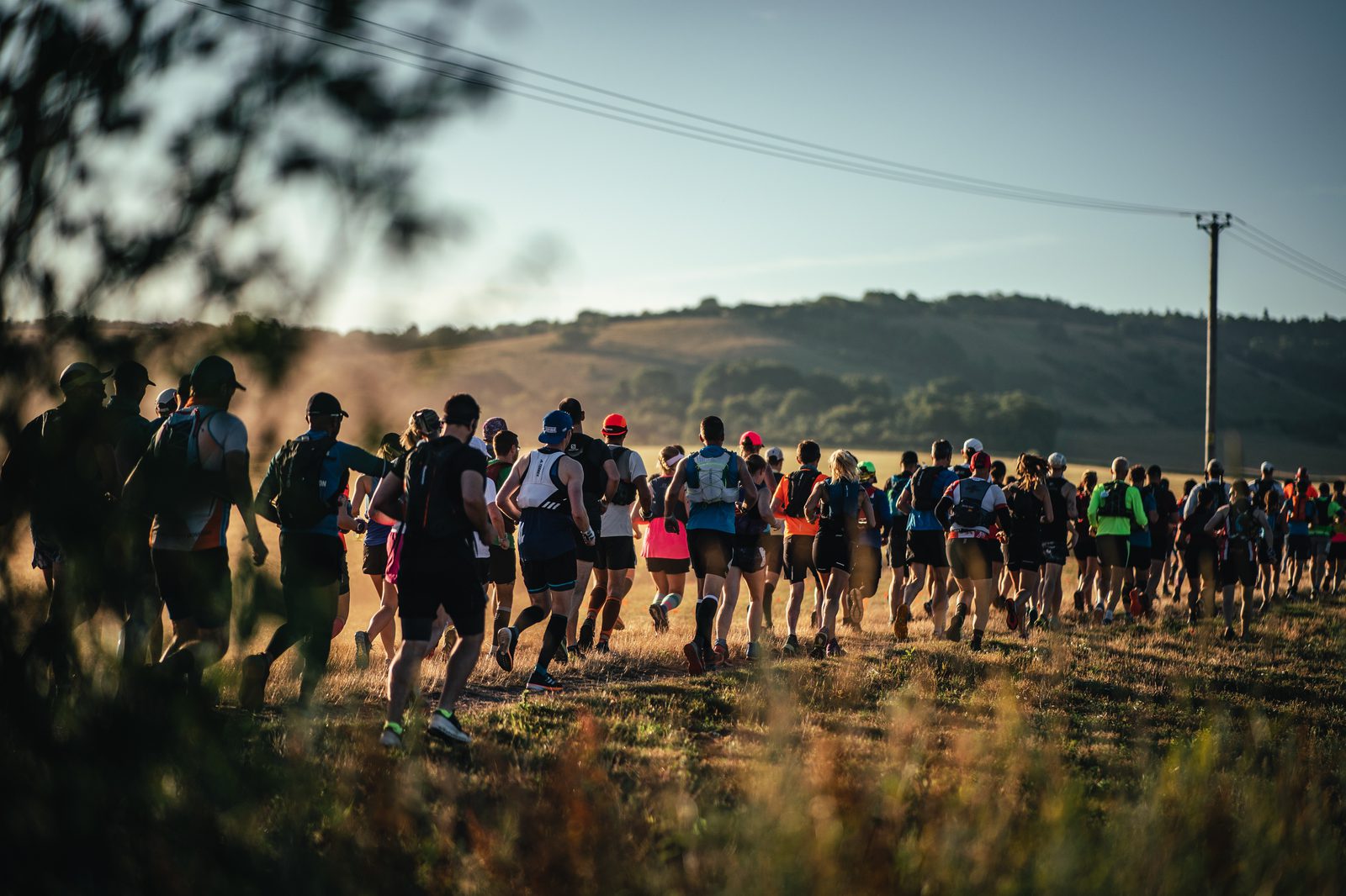 A large group of runners participate in an outdoor race on a sunny day. The runners, dressed in sportswear, traverse a grassy, open landscape with rolling hills and trees in the background. The scene is bathed in the soft light of either early morning or late afternoon.
