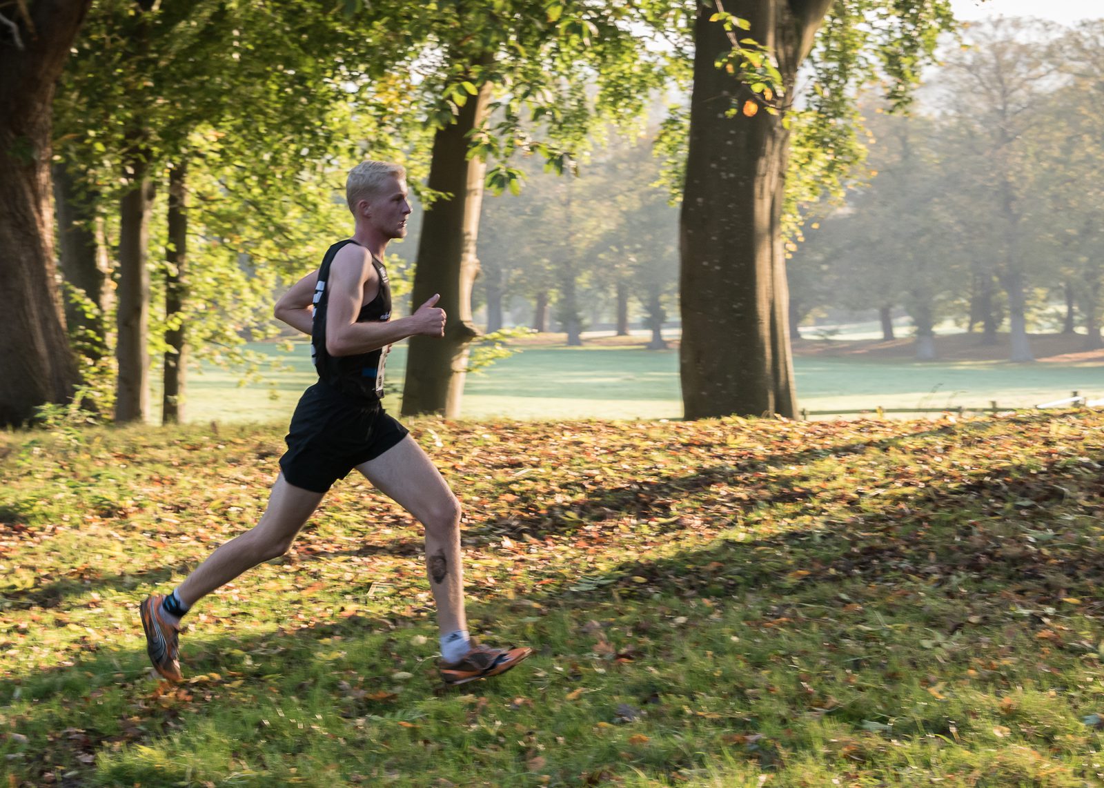 A runner in black athletic gear jogs through a sunlit forest with tall trees and a grassy, leaf-covered ground. The background shows a misty meadow, adding a serene atmosphere to the scene.