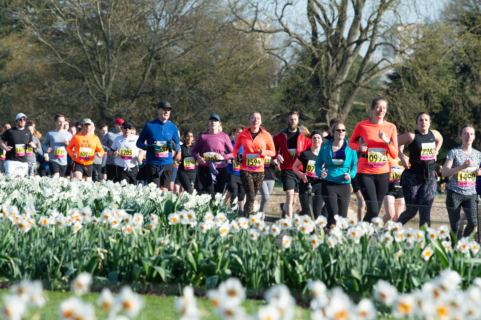A group of runners participate in a race, running on a path through a park. They wear numbered bibs and varied athletic attire. In the foreground, blooming white flowers are visible, and the background shows trees and greenery under a clear sky.