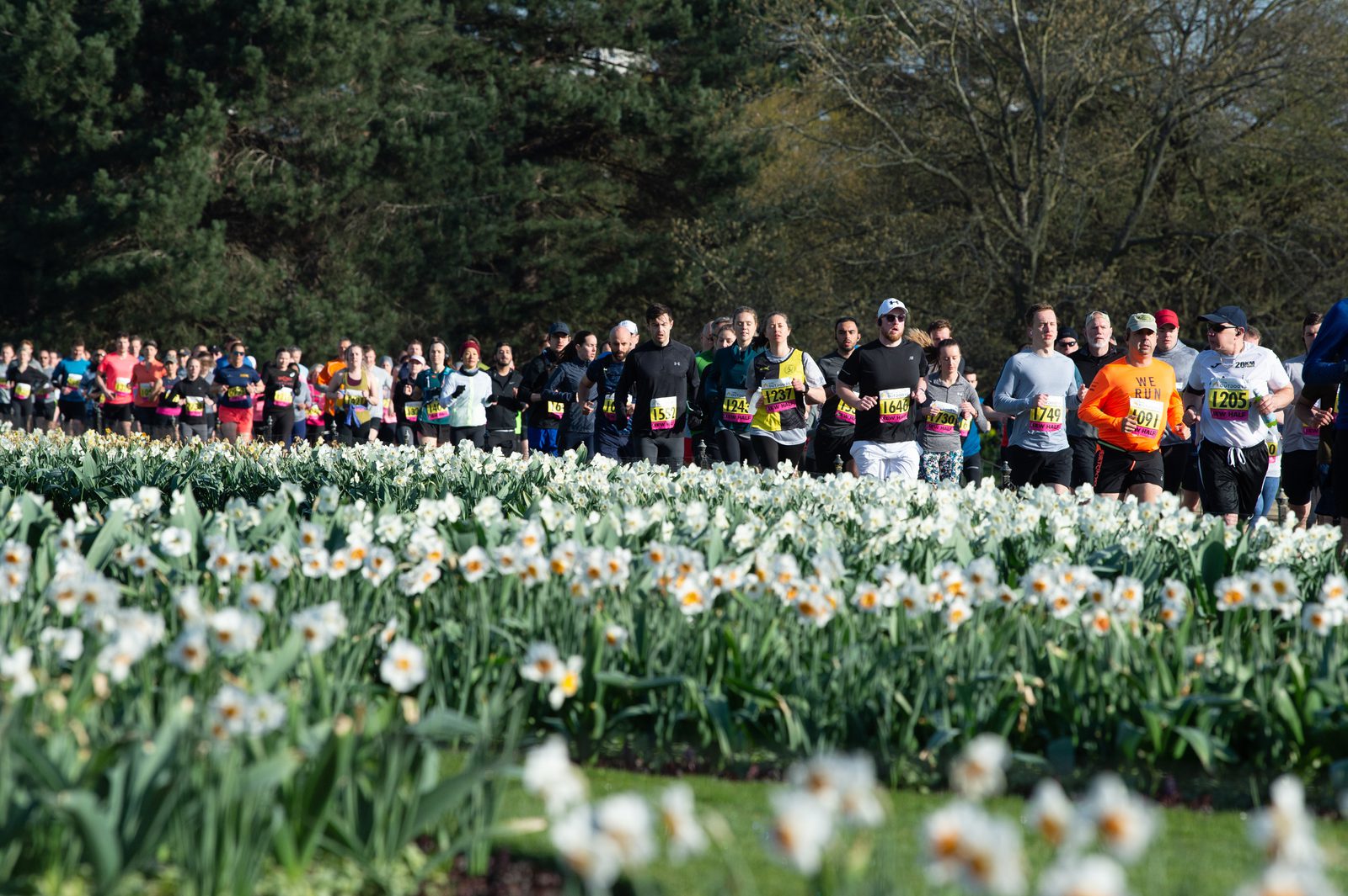 A large group of runners participate in a race, running through a park filled with blooming white flowers. They are dressed in various athletic gear and some wear race bibs. Trees with early spring foliage are visible in the background.