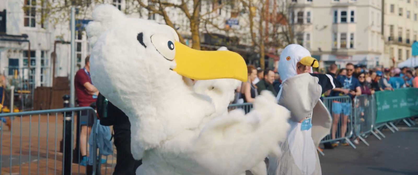 Two people dressed in seagull costumes interact playfully in an outdoor event. They stand near a metal barricade, with a crowd and buildings visible in the background. One costume is white and fluffy, while the other is simpler and shaped like a seagull.