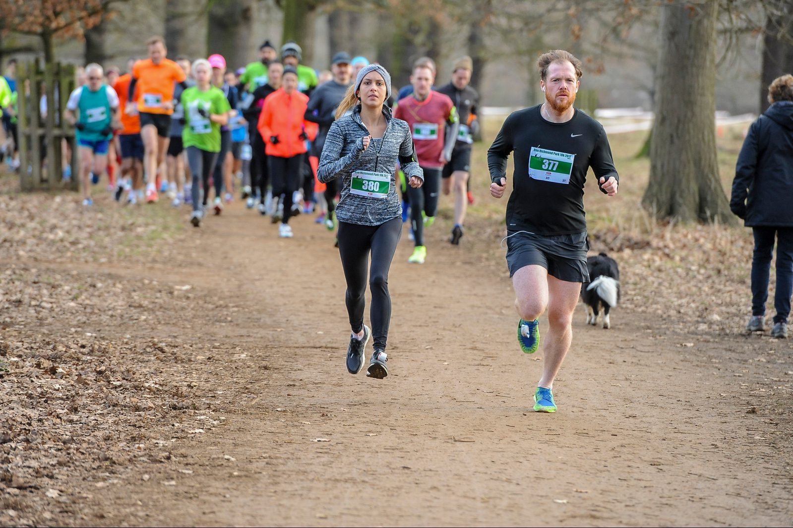Runners on a park trail during a race. A man in a black outfit (number 377) and a woman in gray and black (number 380) are in the foreground. Participants in assorted clothing and colors follow in the background amidst trees and fallen leaves.