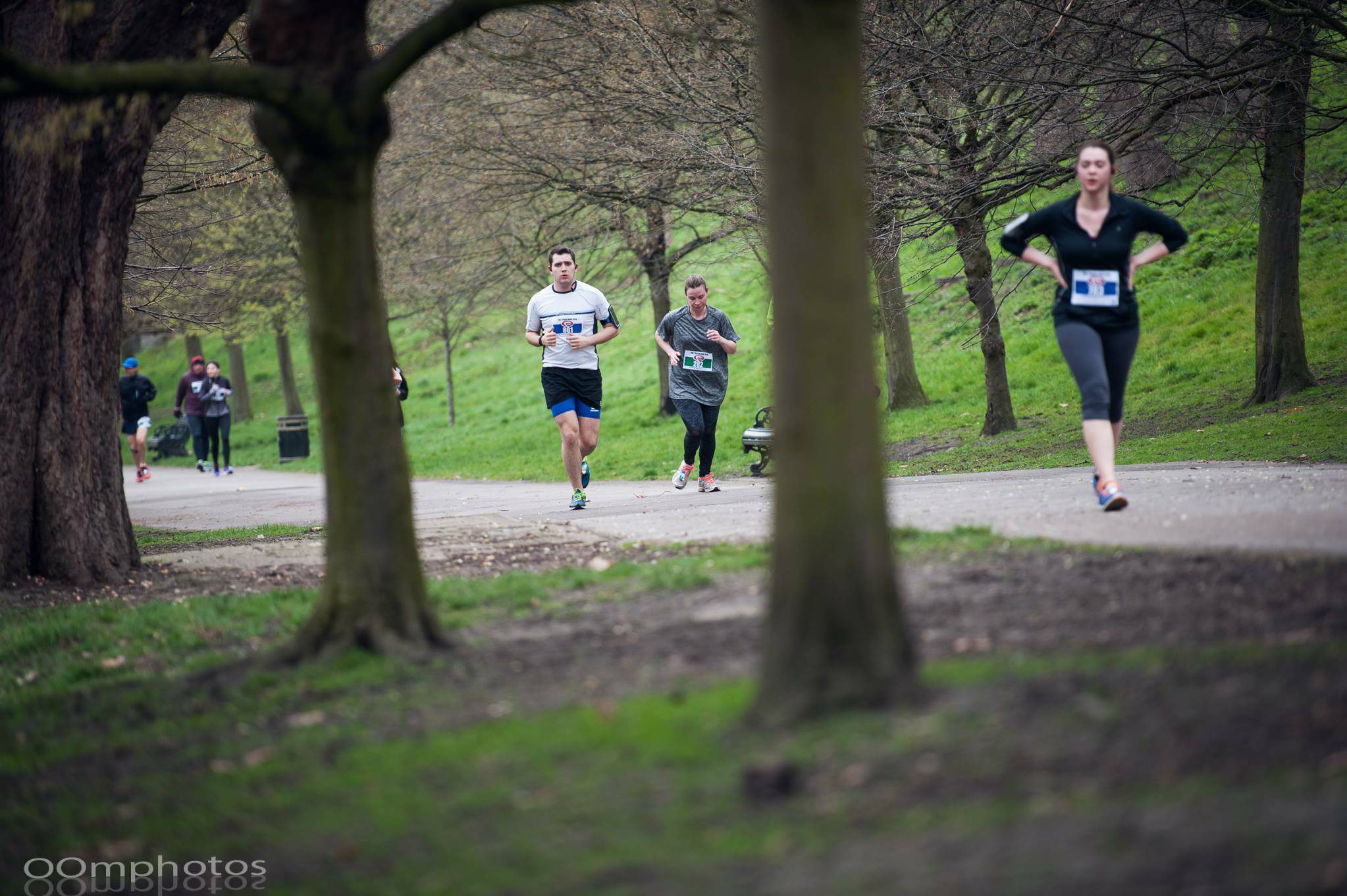 A group of runners participate in a race through a park. Tall trees line the path, and the grass is green with scattered leaves. The runners wear race bibs, and the mood appears focused and determined. The background shows more trees and a slightly overcast sky.