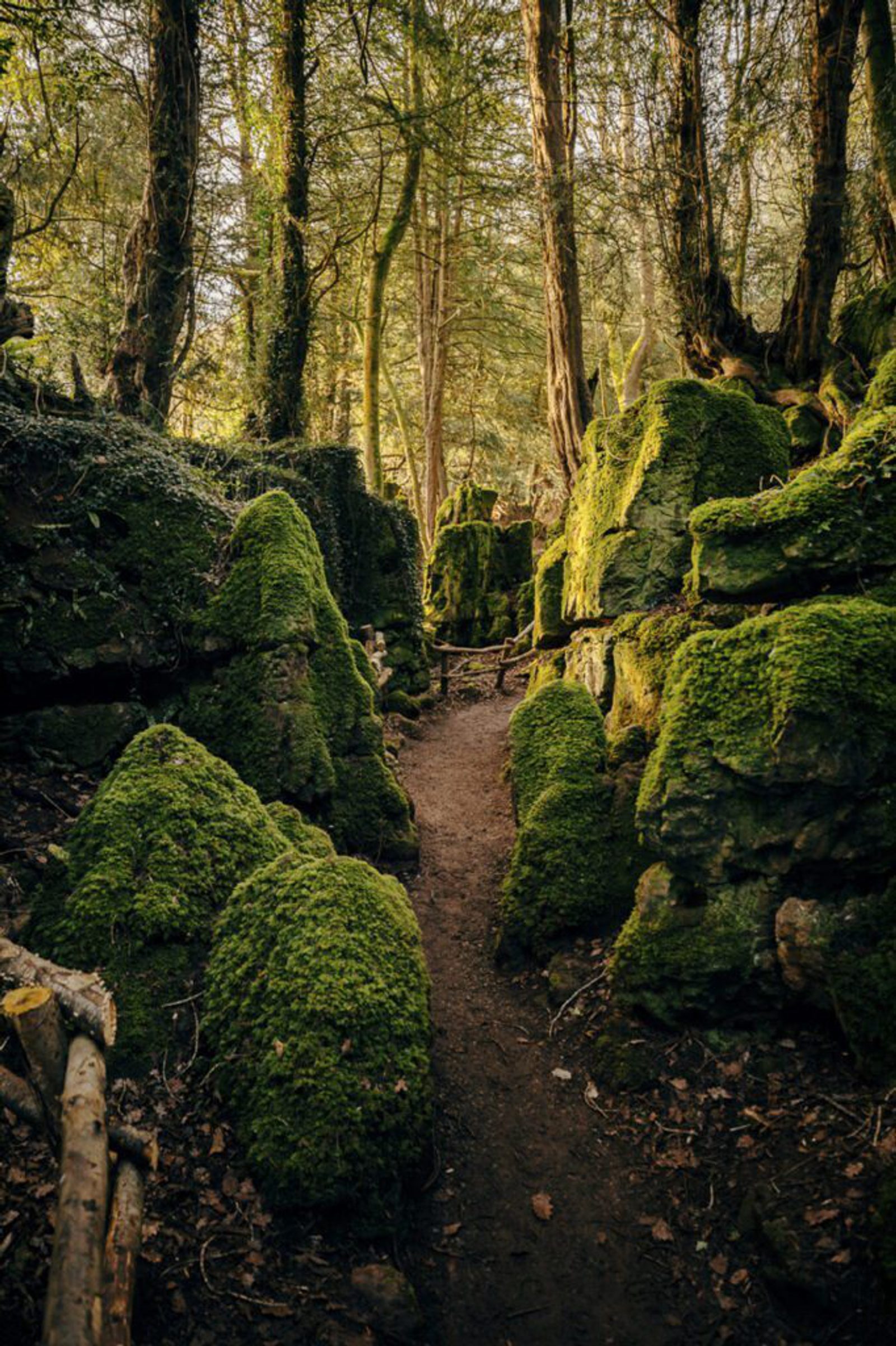 A narrow dirt path winds through a forest with large moss-covered rocks and tall trees, dappled in warm sunlight.
