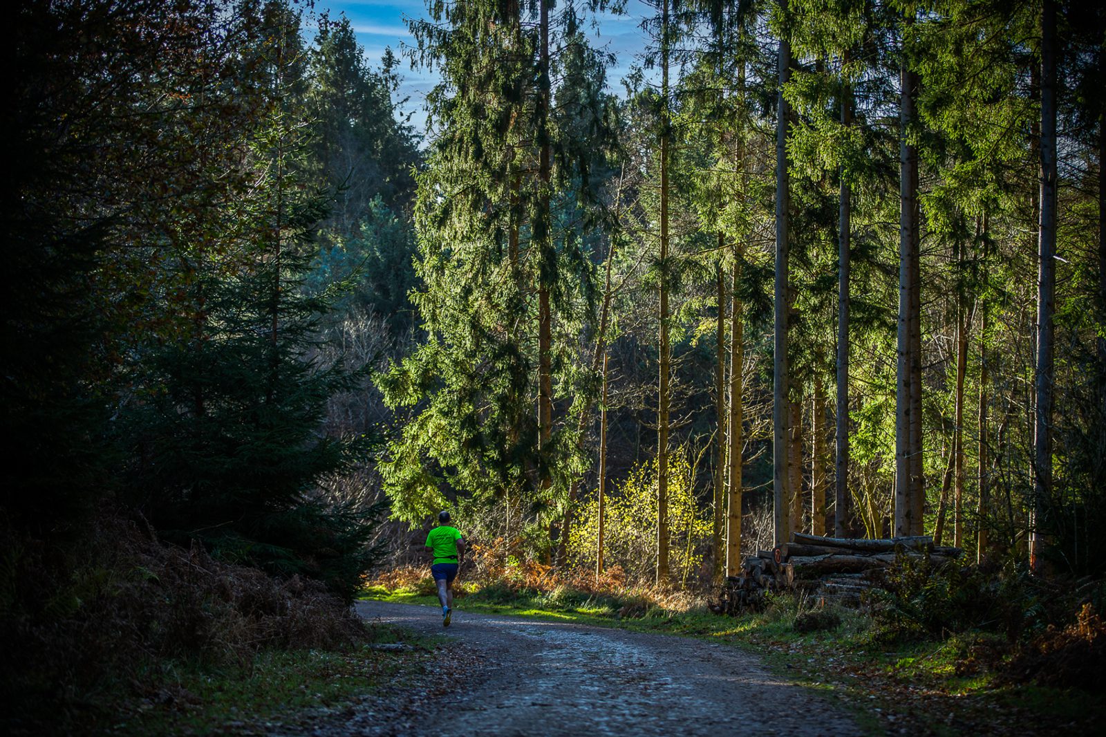 A person wearing a bright green shirt runs along a dirt path through a sunlit forest, surrounded by tall evergreen trees and scattered logs.