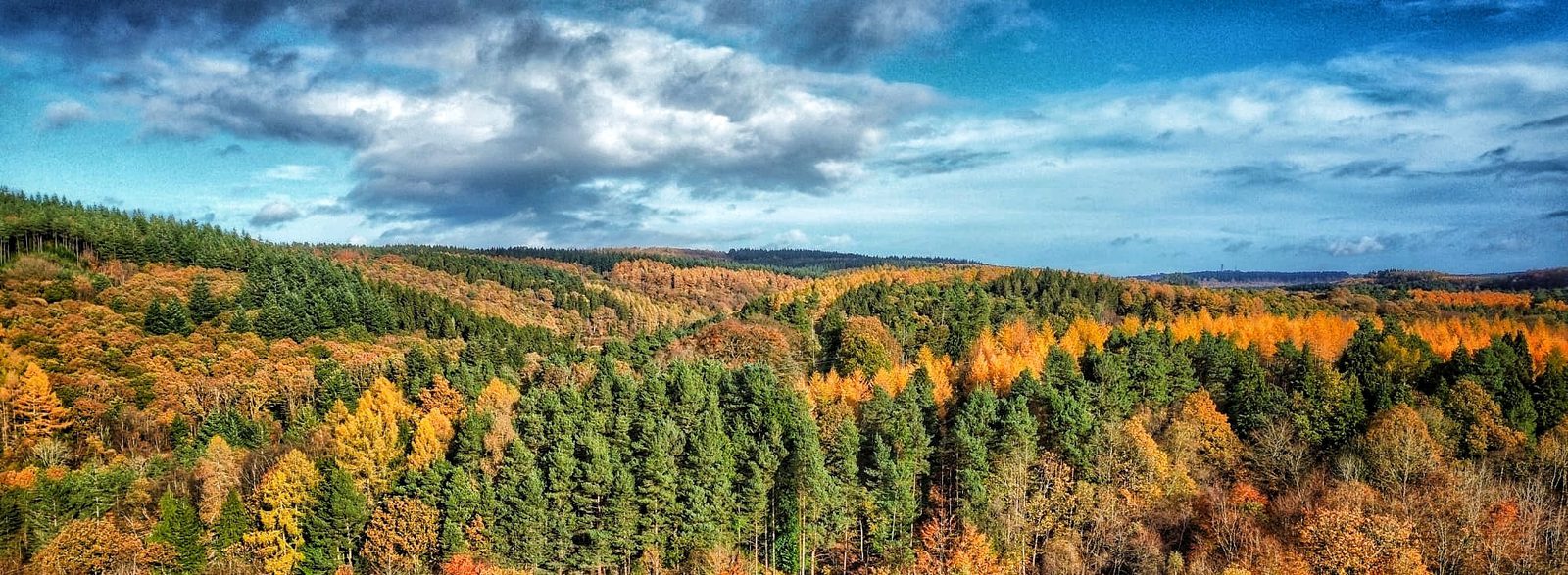 A panoramic view of a forest with green and orange autumn trees under a partly cloudy blue sky.