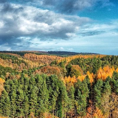 Shell Dean Forest Forest of Dean Ultra Marathon 2026 | Sat 10 Oct | Book @ Findarace