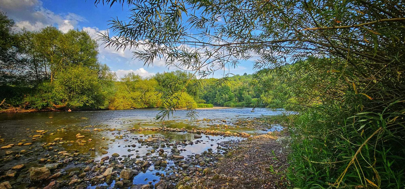 A scenic river flows gently through lush green trees under a blue sky with white clouds. Rocks and pebbles line the riverbank, with leafy branches arching over the water in the foreground.