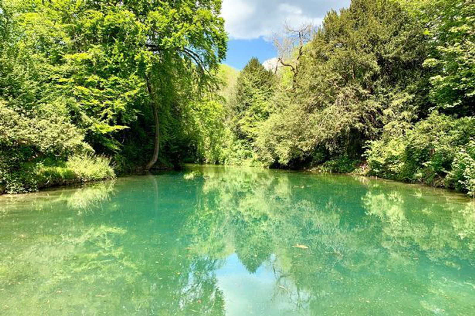 A serene lake with clear blue-green water surrounded by lush greenery and dense trees under a partly cloudy sky. The reflections of the trees and the sky create a picturesque and tranquil scene.