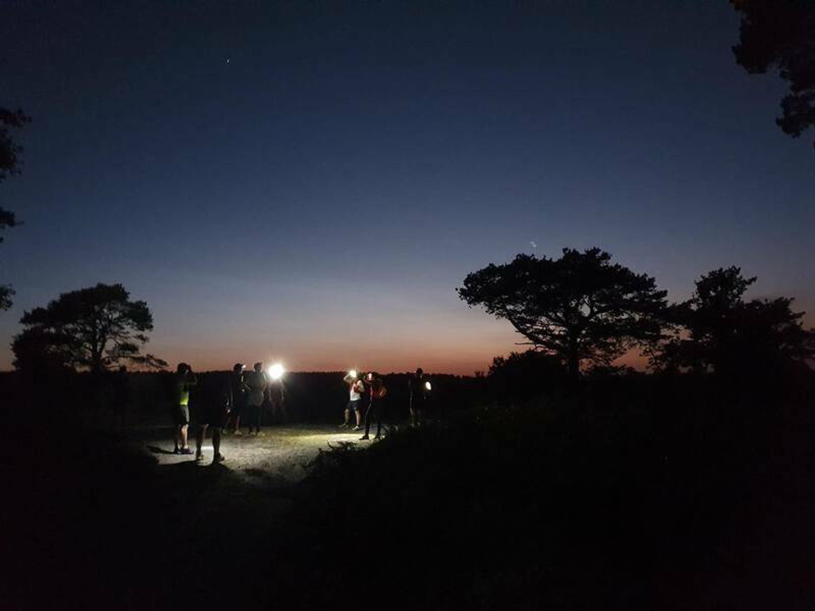 A group of people is seen standing in a dimly lit outdoor area at dusk or dawn. The sky is a gradient of orange and purple hues, silhouetting nearby trees. Some individuals are holding flashlights, casting small beams of light on the ground.