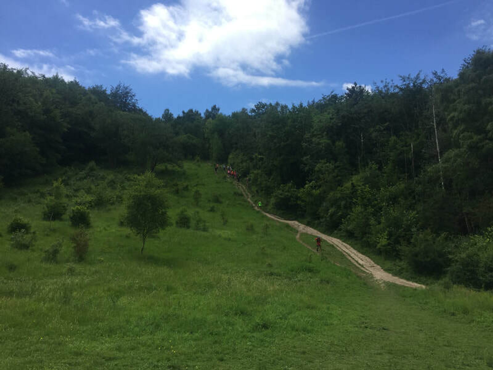 A scenic view of a lush green hillside with a narrow dirt path winding through it, leading towards a dense forest. The sky is partly cloudy, with patches of blue visible. In the distance, a group of people can be seen walking up the trail.