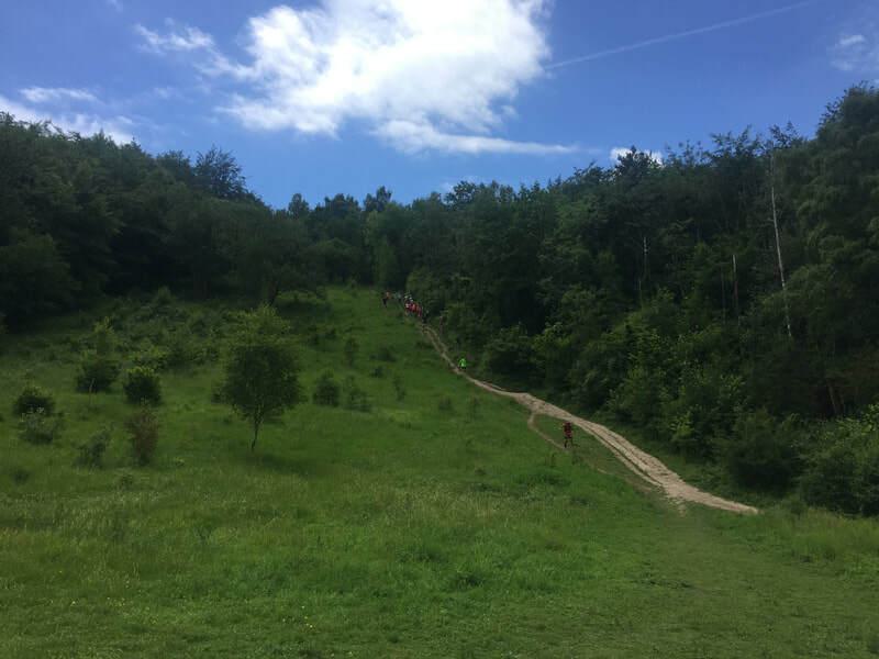 A scenic view of a lush green hillside with a narrow dirt path winding through it, leading towards a dense forest. The sky is partly cloudy, with patches of blue visible. In the distance, a group of people can be seen walking up the trail.