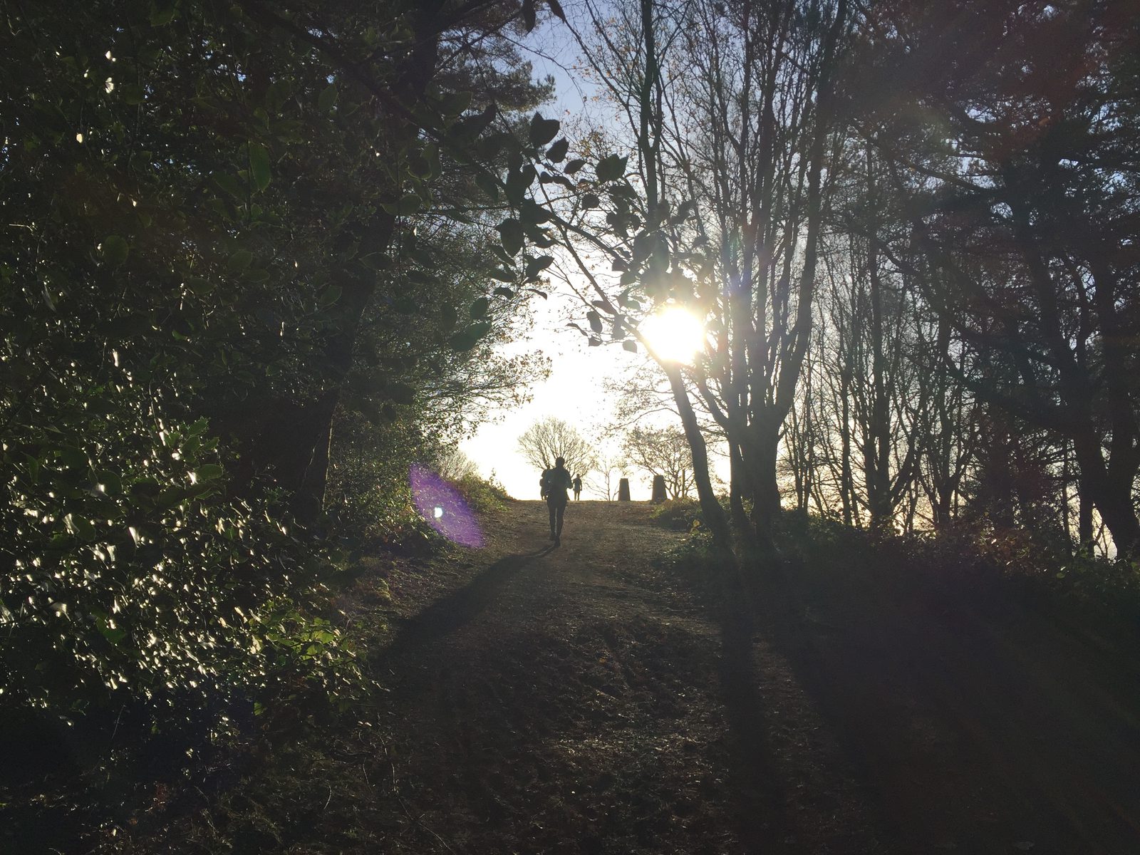 A person walking up a dirt path flanked by trees, with the sun shining through the branches, casting long shadows. The sky is clear, and the bright sunlight creates a lens flare effect in the foreground.