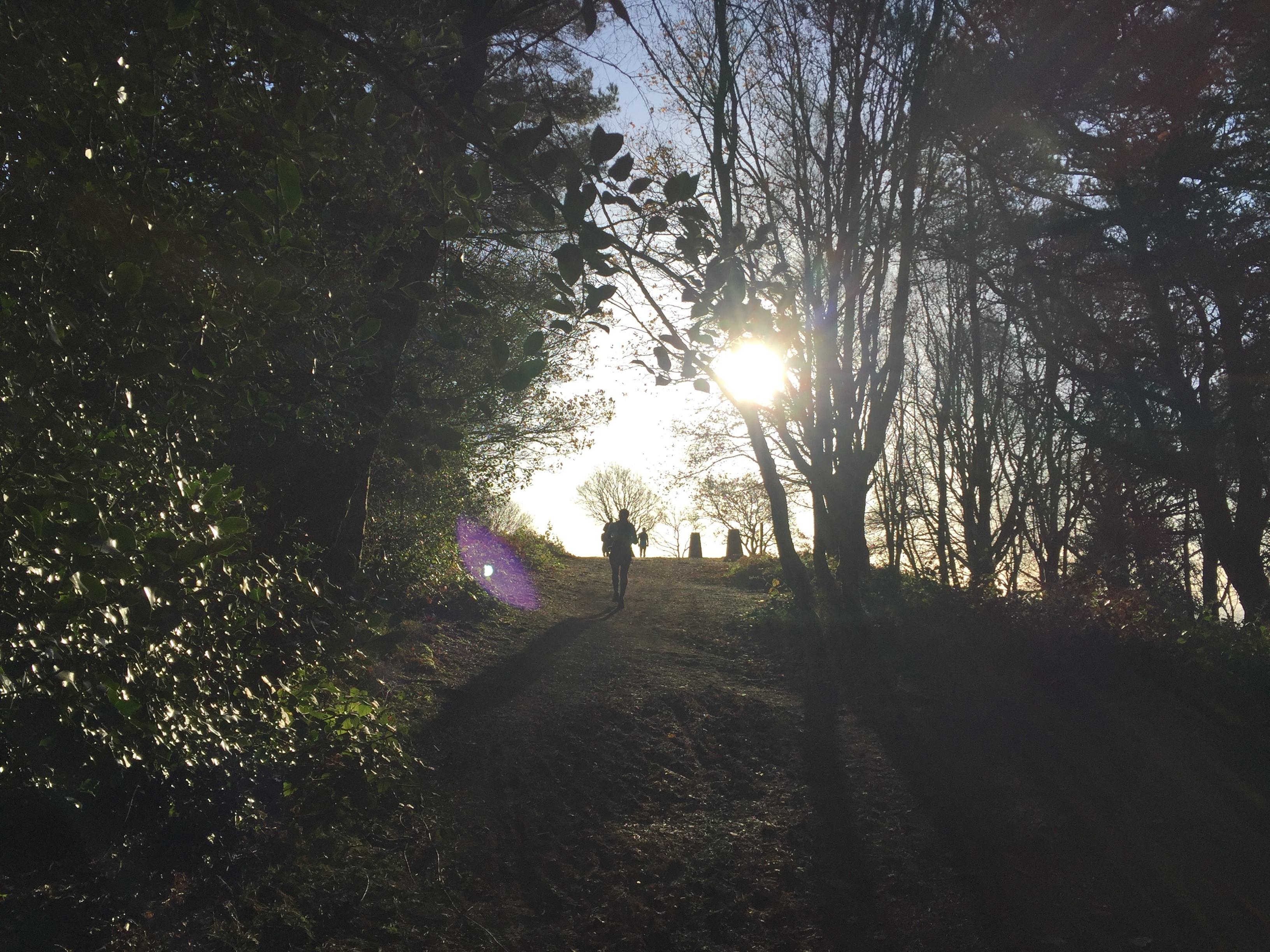 A person walking up a dirt path flanked by trees, with the sun shining through the branches, casting long shadows. The sky is clear, and the bright sunlight creates a lens flare effect in the foreground.