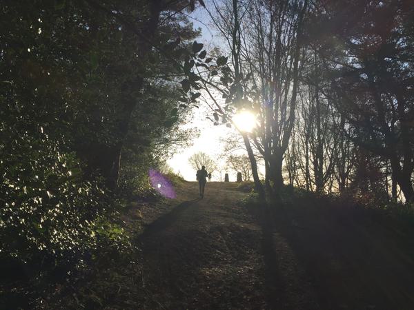 North Downs Way Ultra Run (30 miles)