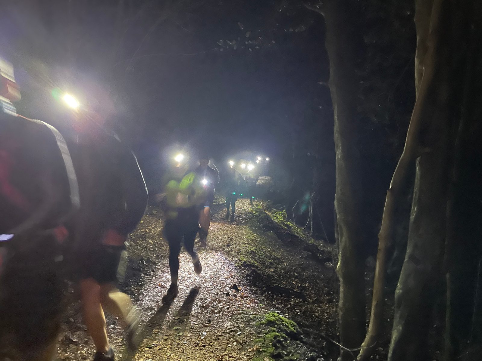 A group of runners wearing headlamps jog along a dark forest trail at night, with beams of light illuminating the path and surrounding trees.