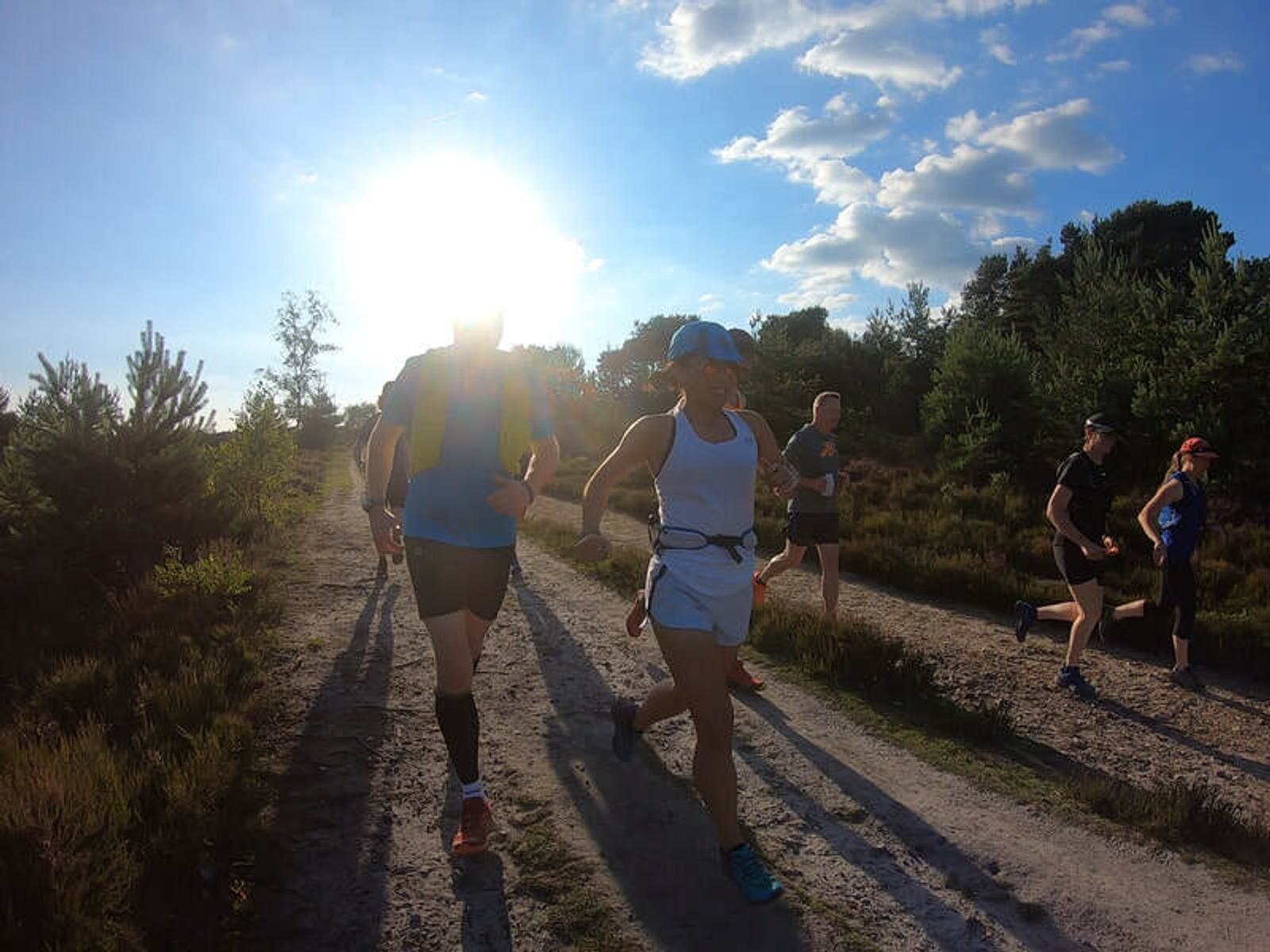 A group of people running on a sunlit trail surrounded by trees and bushes. The sun is low in the sky, casting long shadows on the path. The sky is clear with some scattered clouds.