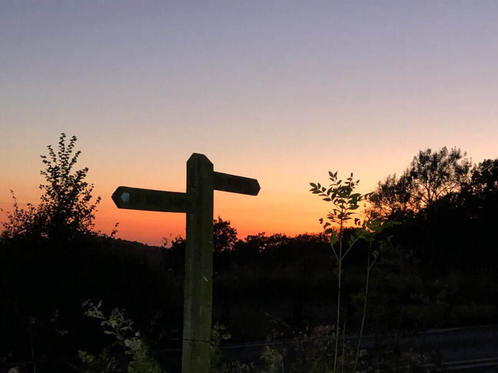 Silhouetted wooden signpost with multiple arrows stands in front of a sunset sky. The horizon glows with shades of orange and purple, while trees and bushes frame the scene against the fading light.