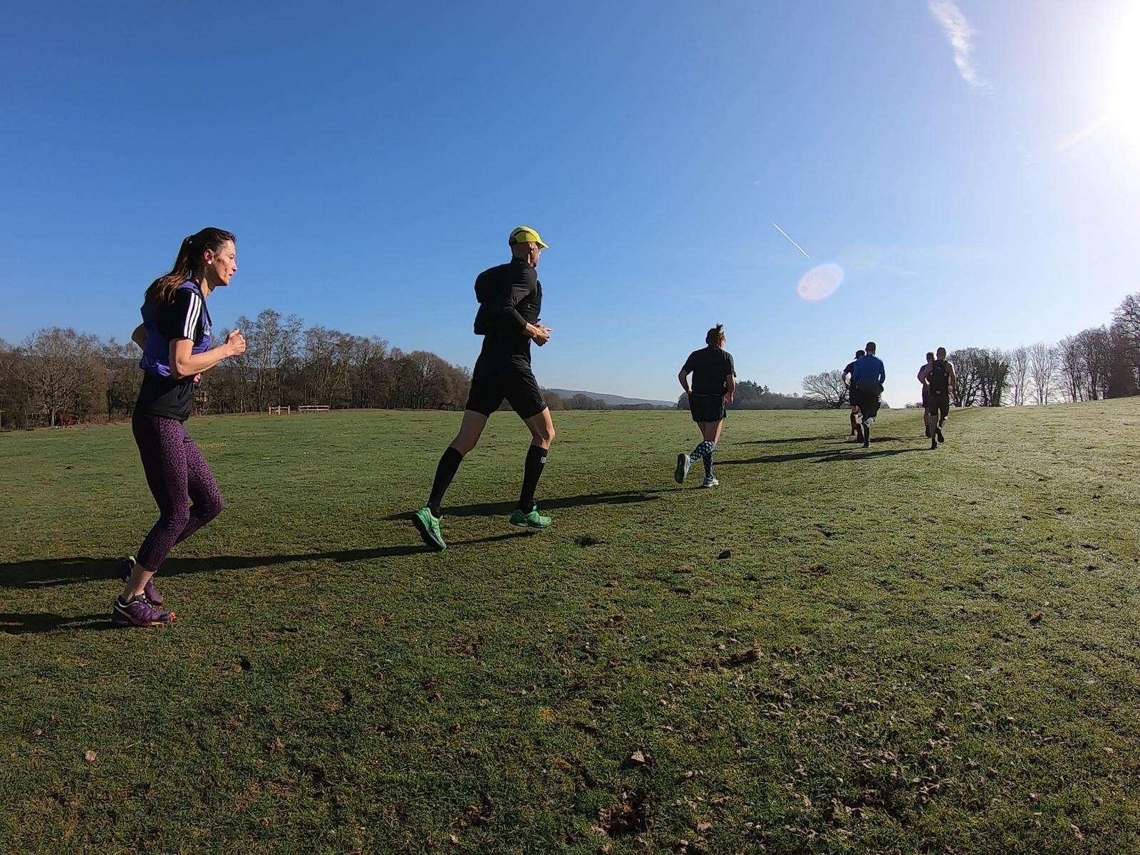 A group of people jogging on a grassy field under a clear blue sky. Trees line the horizon, and the sun casts long shadows on the grass. One jogger wears a yellow cap and green shoes. The scene suggests a bright, pleasant day for exercise.