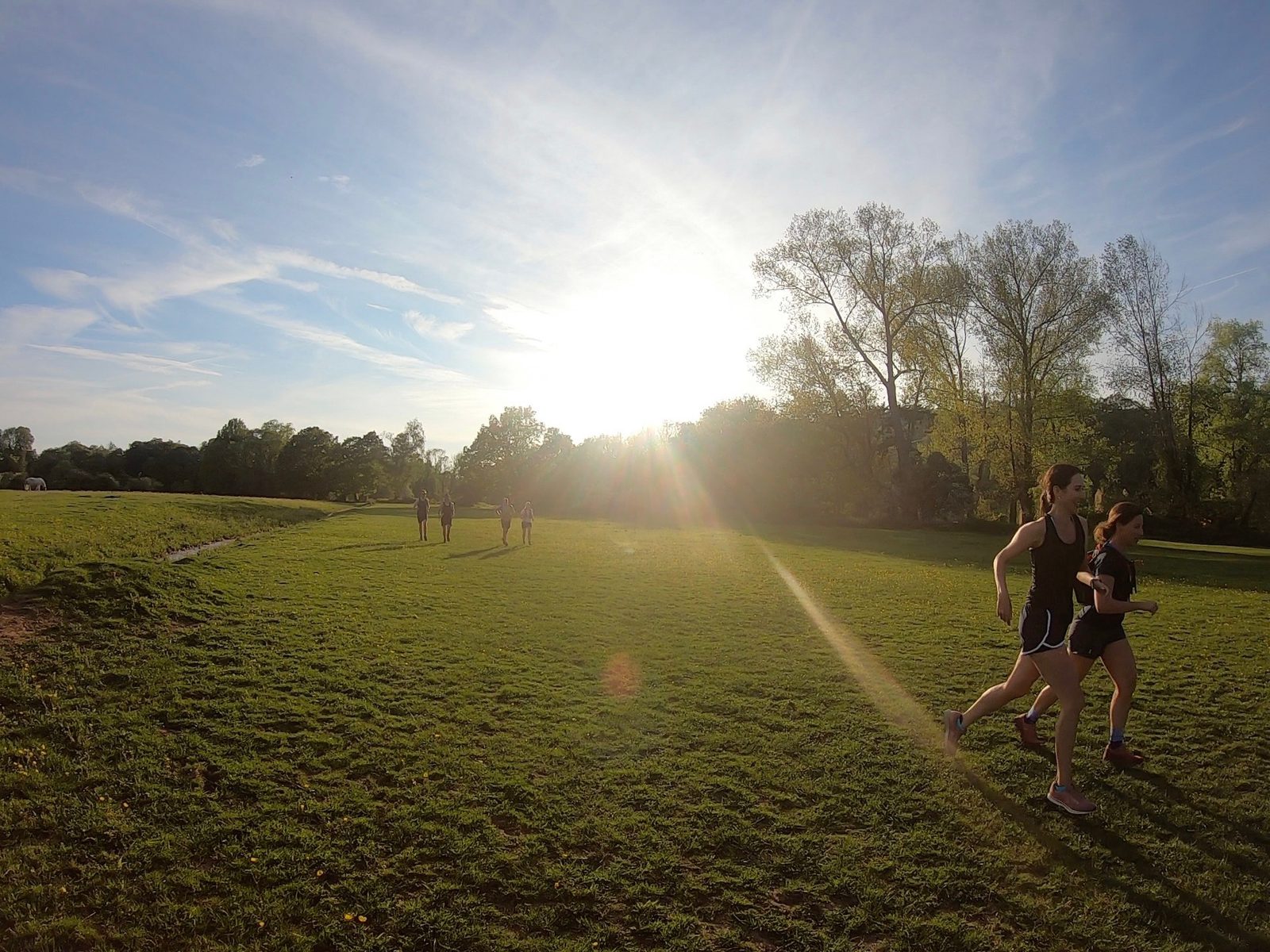 A man and a woman jog side by side on a grassy field under a clear sky with the sun shining brightly. In the background, a few other people are walking along the field's path. Tall trees and scattered clouds are visible in the distance.