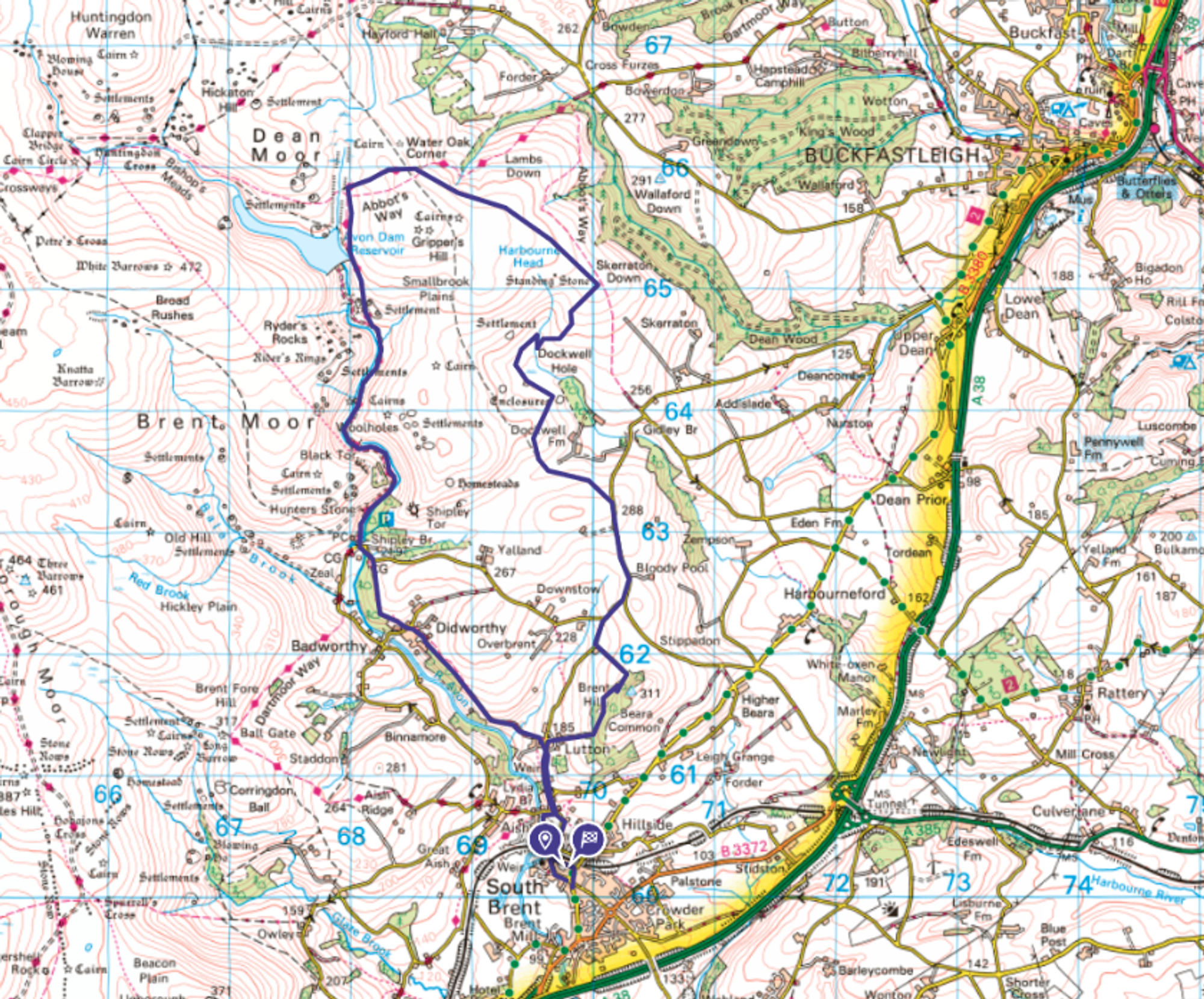Wild Night Run course map