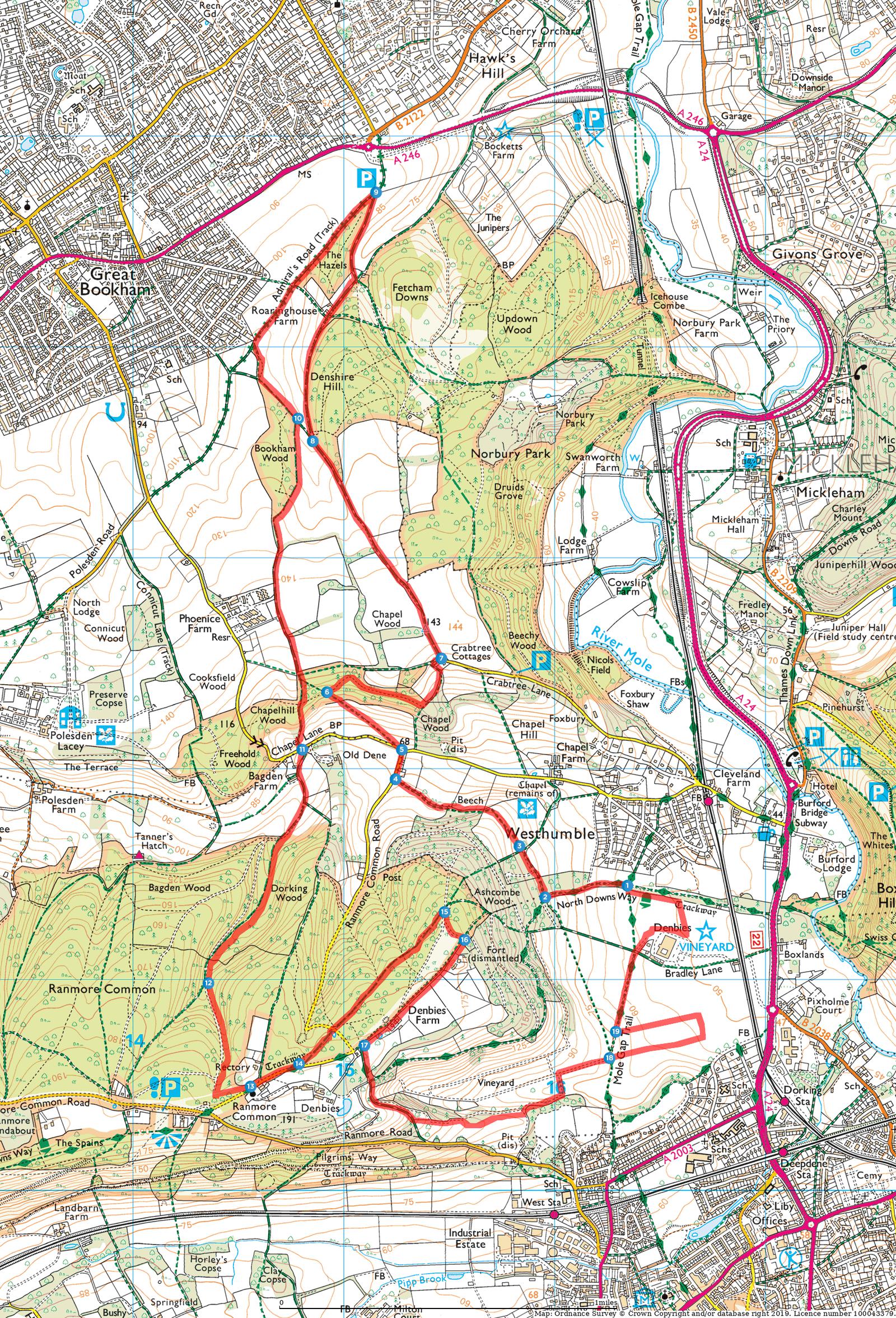Detailed topographic map depicting the area around the towns of Denby Dale and Clayton West. The map shows roads, trails, and footpaths highlighted in red, with various landmarks, including parks, wooded areas, water bodies, and residential areas.