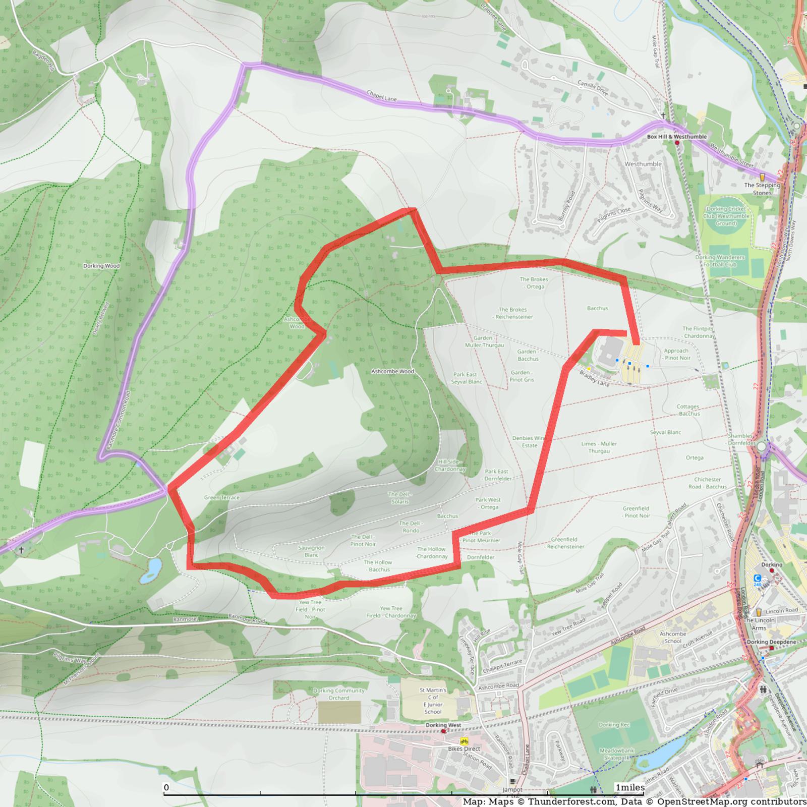 A topographic map displaying a red outlined area indicating a specific region with pathways, residential areas, and surrounding greenery. The map includes roads, terrain features, and various landmarks. Coordinates and an OpenStreetMap watermark are visible.