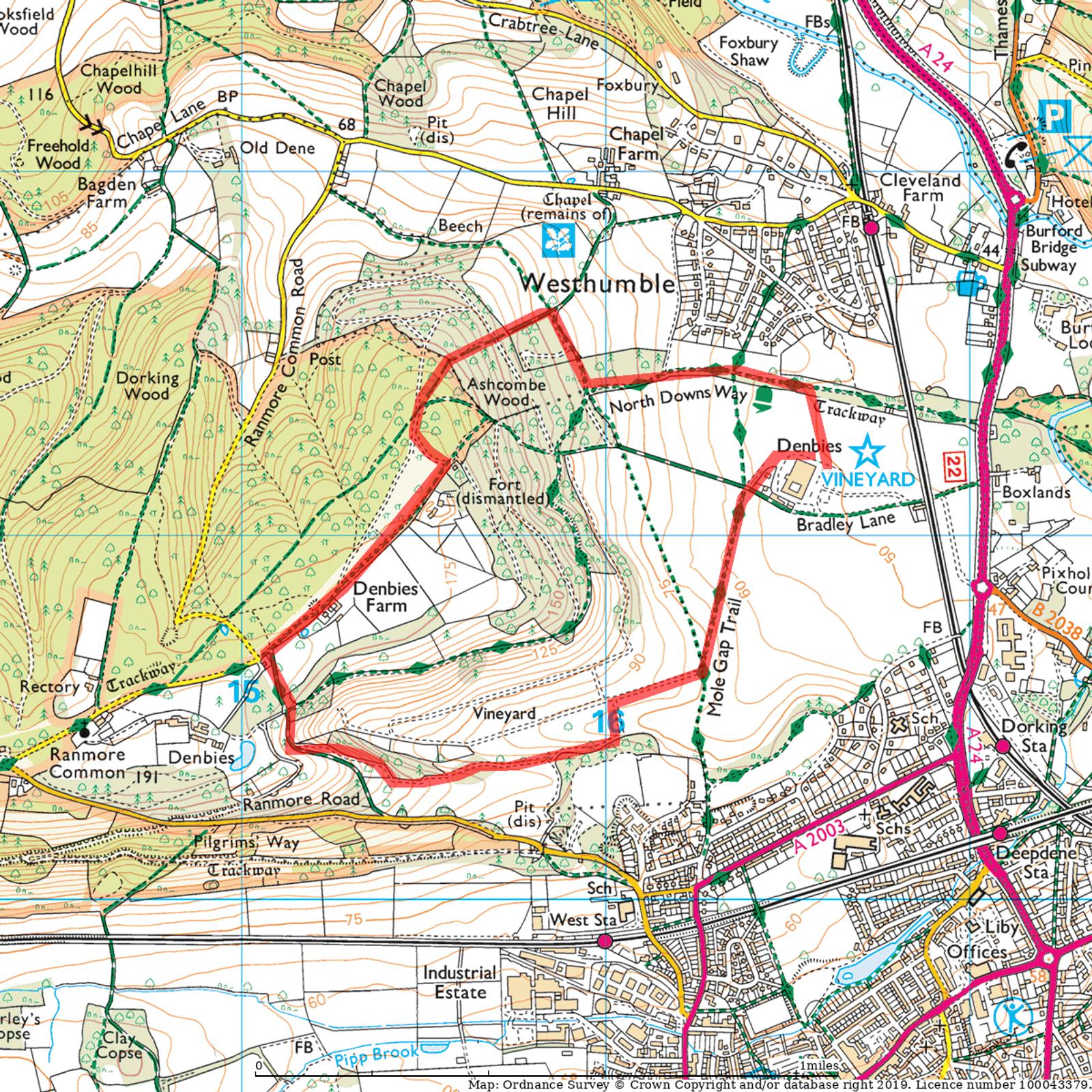 A detailed topographic map showing an area named Westhumble. The map highlights various landmarks such as vineyards, farms, and wooded areas like Denbies Hillside and Ranmore Common. Roads, trails, and an industrial estate are also depicted with contour lines indicating elevation.