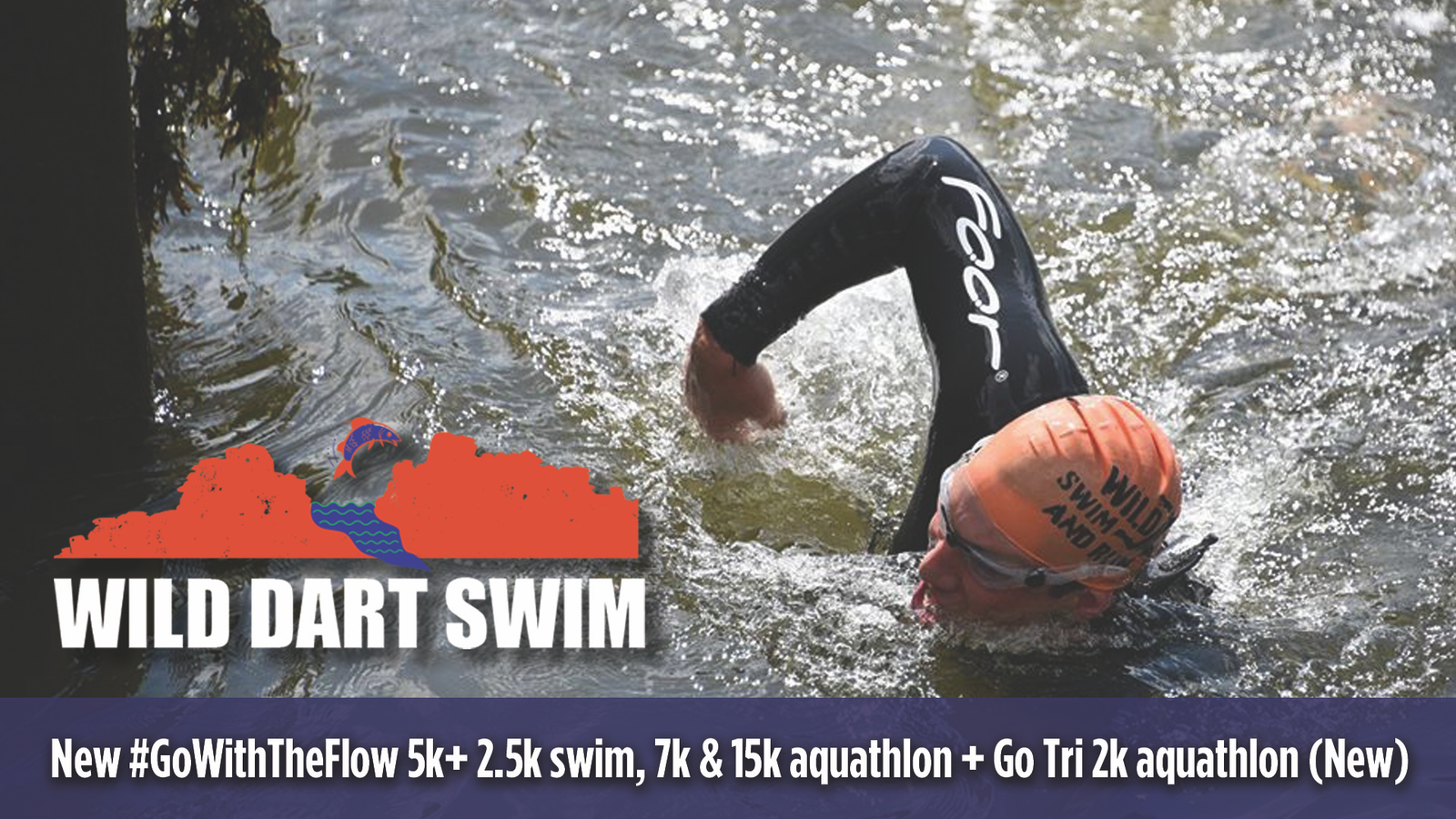 A person swimming in a river with a buoyancy aid, wearing a black wetsuit and orange swim cap. The text reads "WILD DART SWIM" and mentions various swim and aquathlon events.