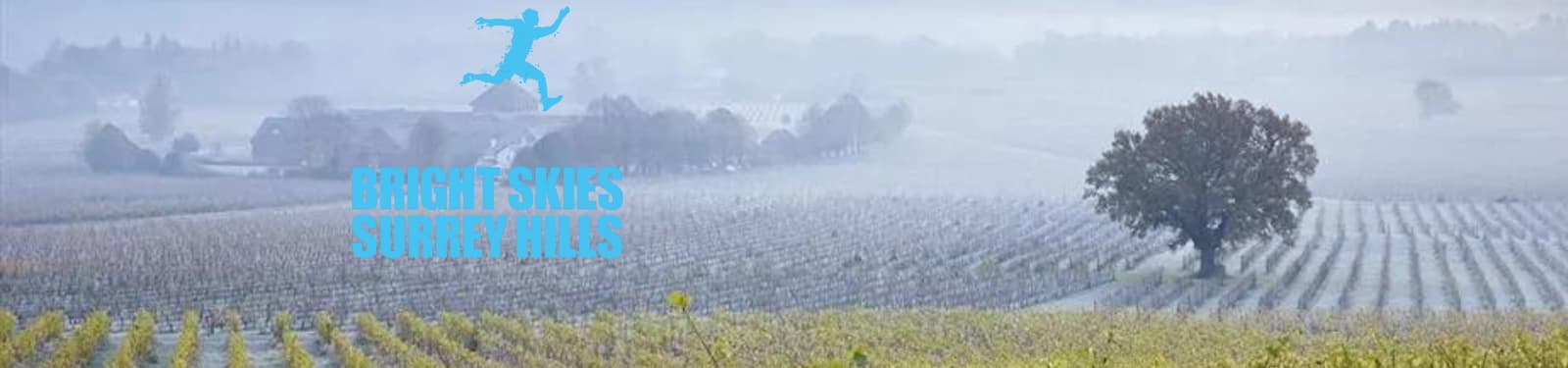 Misty landscape of a vineyard with a lone tree on the right. The words "BRIGHT SKIES SURREY HILLS" in blue are overlaid on the left. A silhouette of a jumping person is above the text.