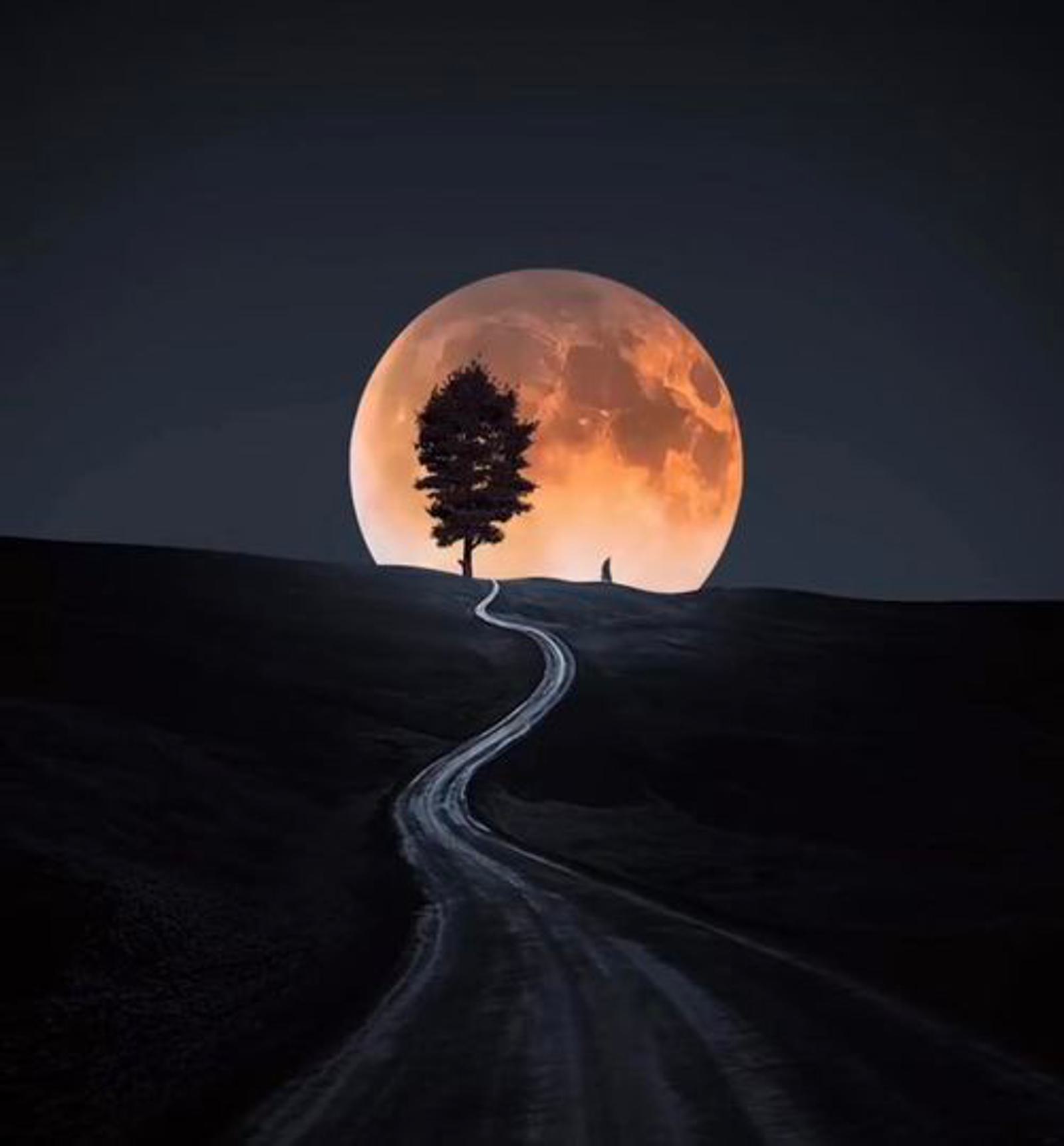 A winding road leads up a hill towards a large, glowing full moon, which appears to be partially obscured by a lone tree at the hill's peak. The silhouetted figure of a person stands near the tree, creating a serene and mystical nighttime scene.