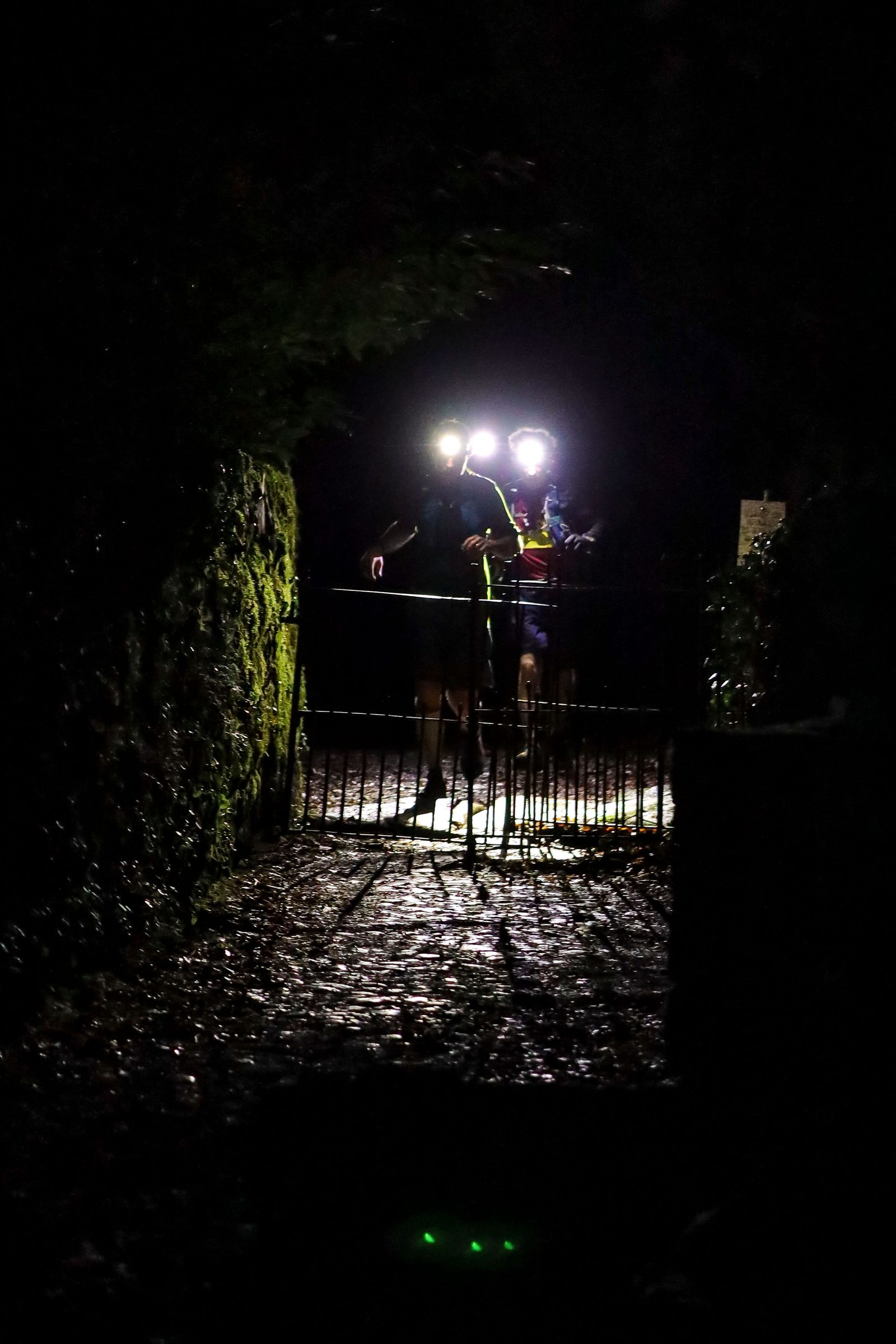 Two people wearing headlamps stand at a gate on a dark, narrow path surrounded by foliage. The headlamps create bright spots of light in the otherwise dark scene, illuminating the gate and parts of the pathway.