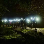 A group of people walking on a path in the dark, illuminated by numerous headlamps or flashlights. Trees and foliage are visible in the foreground and background, with the light creating a stark contrast against the night.
