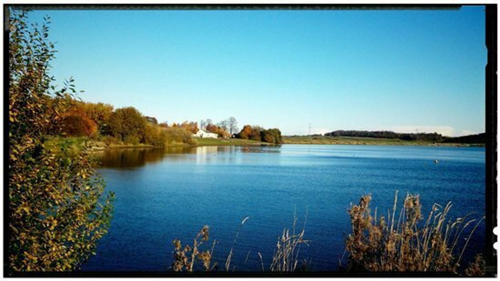 A peaceful lake reflects the clear blue sky. Bushes and trees with autumn foliage line the shore, and a few white structures are visible in the distance. The calm water shimmers, creating a serene and picturesque natural scene.