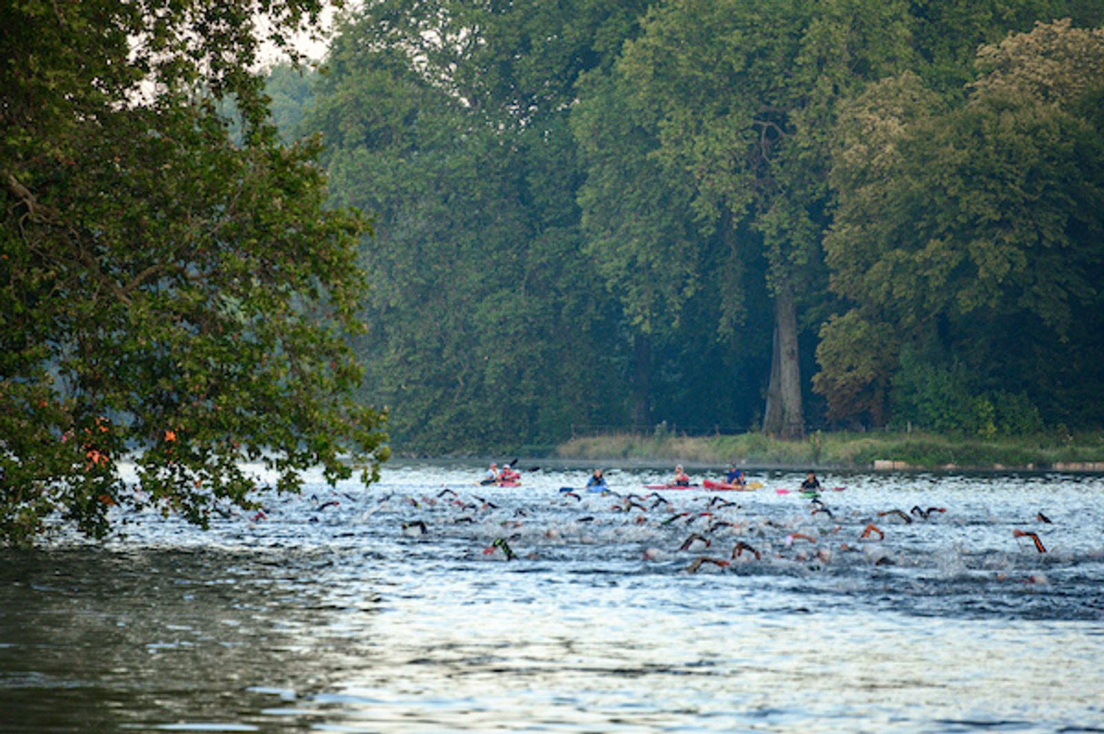 A group of swimmers in a river, surrounded by lush green trees. The swimmers create splashes as they move through the water. There's a forested area in the background, and some boats are visible among the swimmers. The scene appears to be part of an organized event.