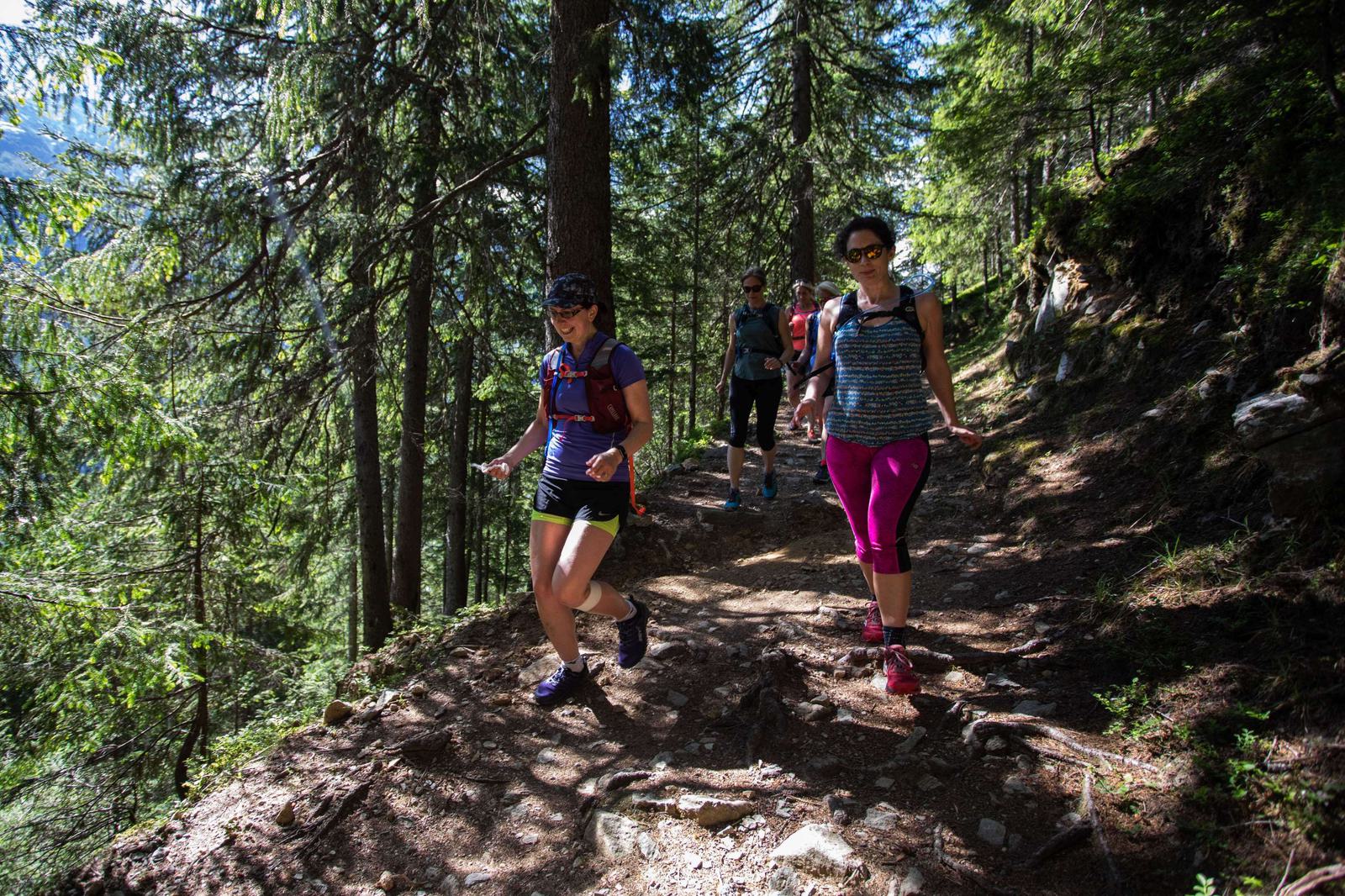 A group of people hiking on a sunlit forest trail surrounded by tall evergreen trees. They are equipped with backpacks and wearing athletic clothing. The leading hikers are smiling and enjoying the outdoor activity.