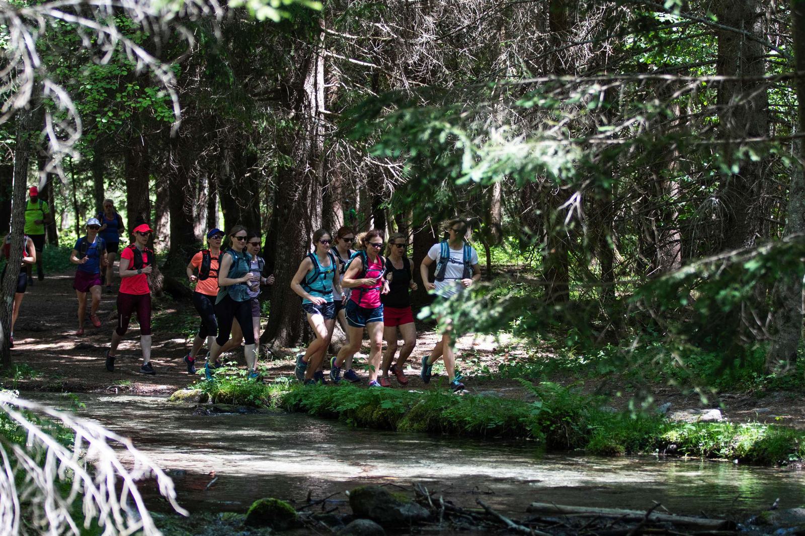 A group of people is jogging on a trail through a forest. They are wearing athletic clothing and backpacks. Sunlight filters through the trees, casting dappled shadows on the ground. A stream runs parallel to the path, adding a natural element to the scene.