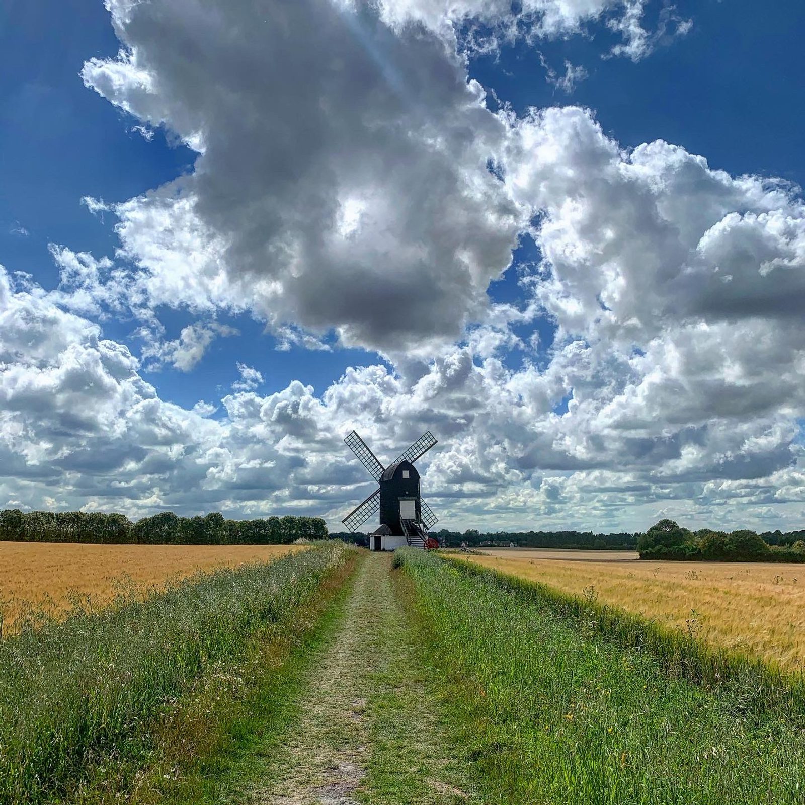 A picturesque windmill stands in the middle of a lush field with a pathway leading up to it, surrounded by golden crops. Fluffy clouds scatter across the bright blue sky, adding to the serene, rural landscape.