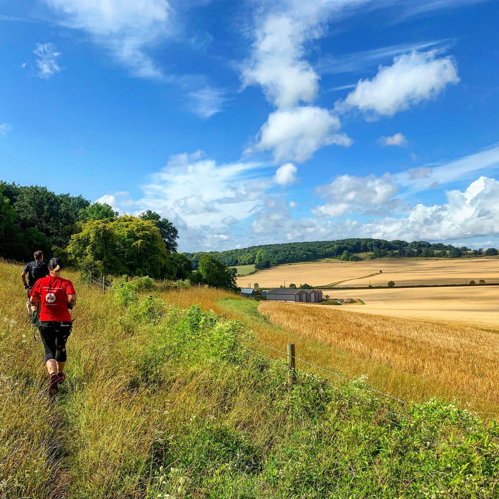 Two people walk along a narrow path surrounded by lush greenery and golden fields under a bright blue sky with scattered white clouds. Rolling hills and distant trees frame the serene landscape.