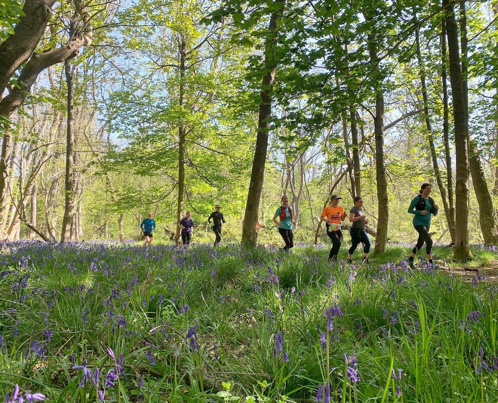 A group of runners jogs through a forest path surrounded by tall trees and vibrant greenery. The ground is dotted with purple flowers, and sunlight filters through the leaves, creating a serene, natural atmosphere.