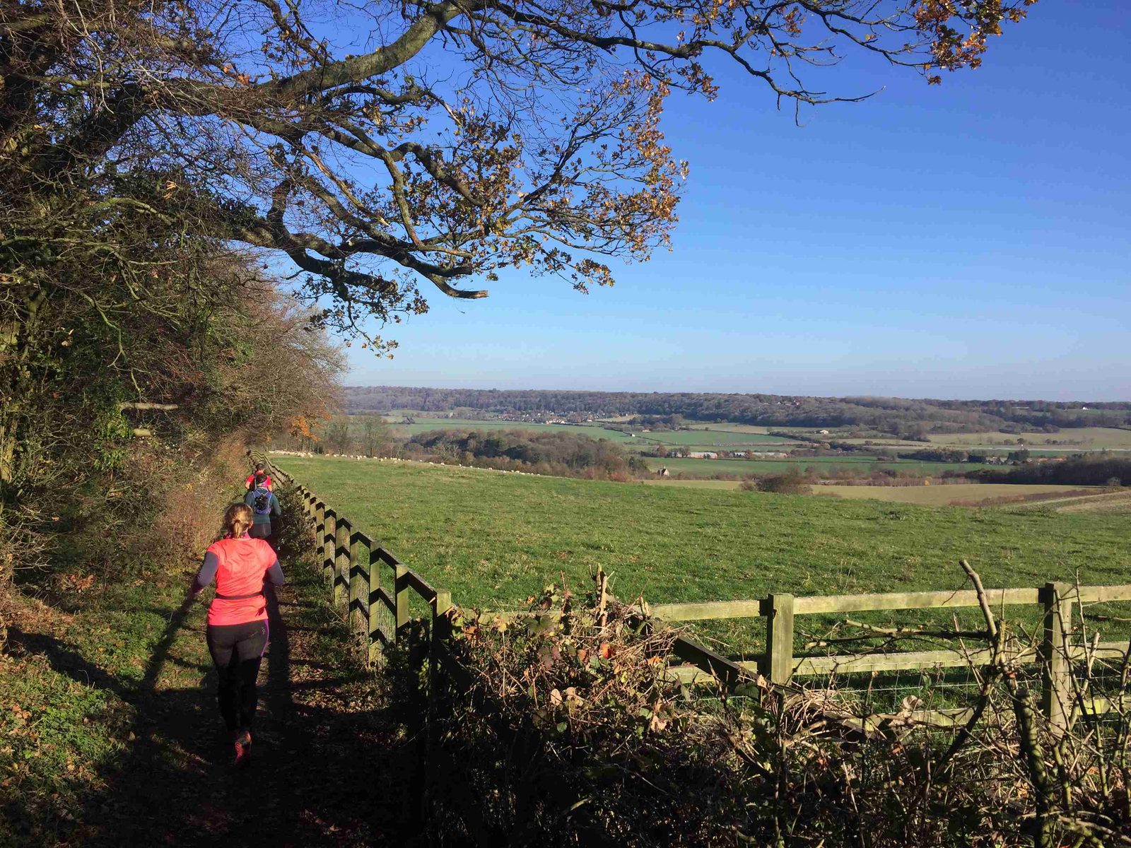 A woman in a bright pink shirt jogs along a grassy, tree-lined path in a rural area. The landscape features open fields, rolling hills, and a clear blue sky. A wooden fence runs alongside the path, and the horizon reveals a distant village.
