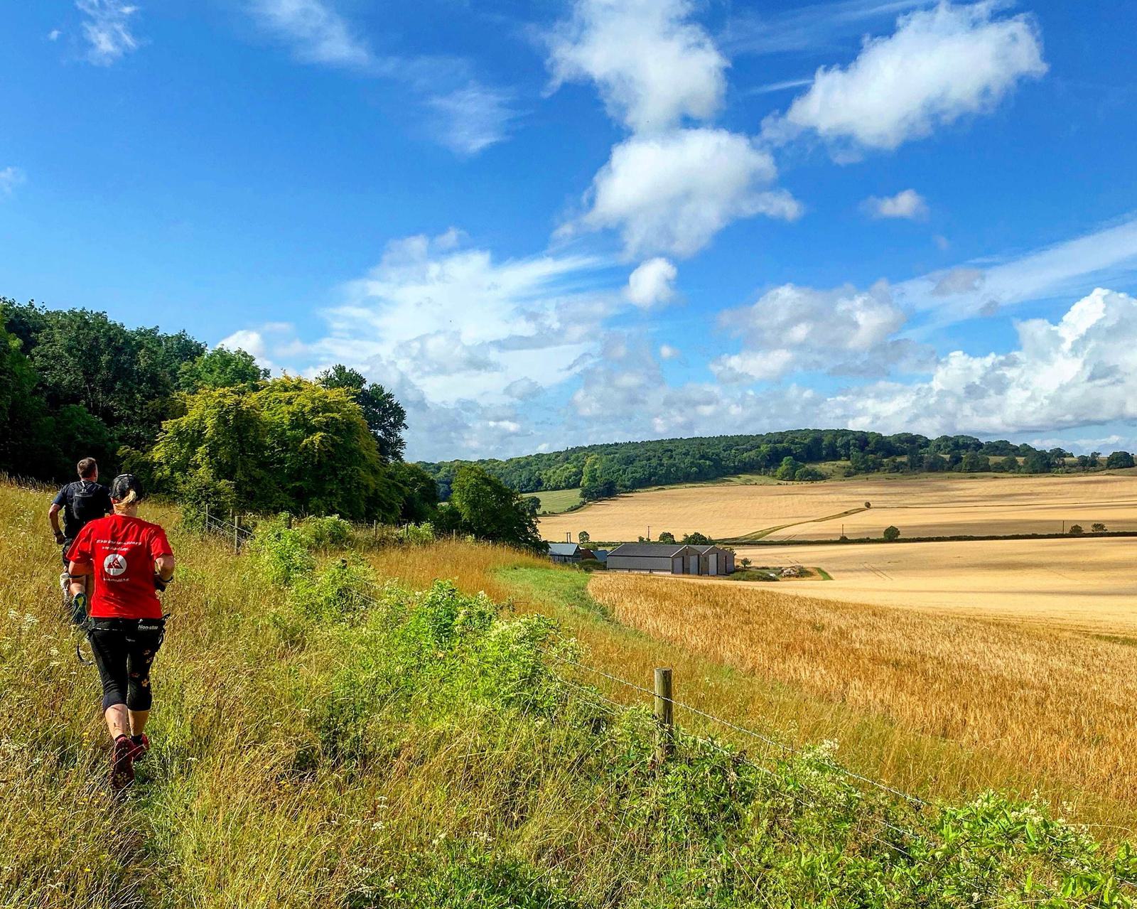 Two people hike along a path bordered by tall grass, heading towards a distant farm building amidst golden crop fields. The sky is bright blue with scattered white clouds. Hills and a forested area are visible in the background, creating a serene rural scene.