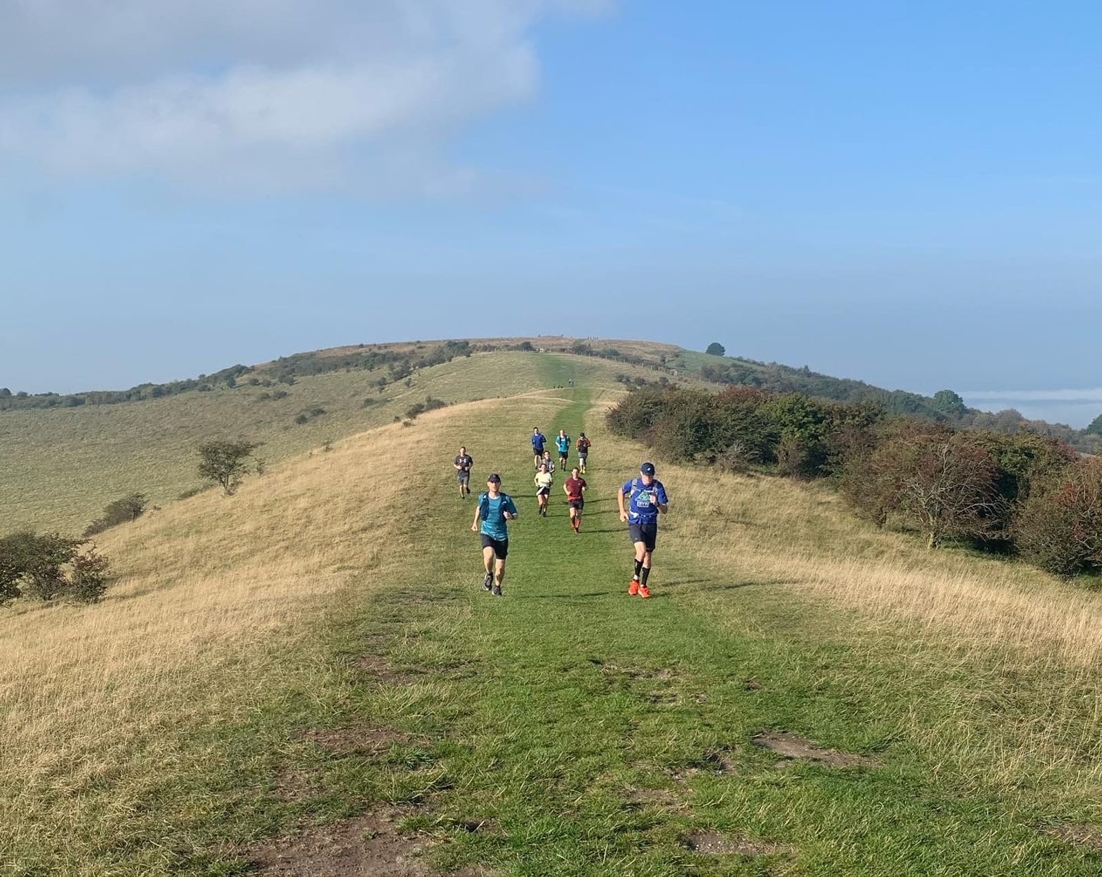 A group of runners traverses a grassy, uphill trail under a clear sky. The path is flanked by bushes and stretches towards a distant horizon where the hill peaks. The setting is open and pastoral, suggesting a scenic outdoor run.