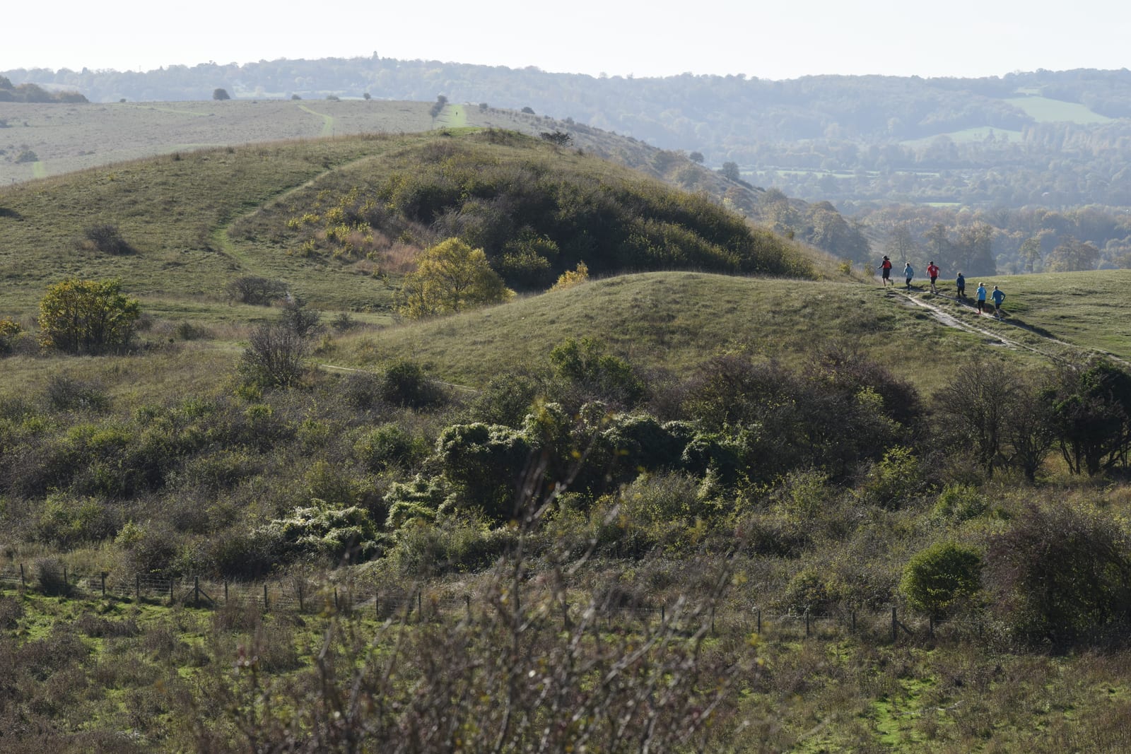 A group of people wearing colorful clothing hikes along a path on a grassy hillside on a clear day. The landscape features rolling hills, scattered trees, and a distant view of a wooded area under a pale blue sky.