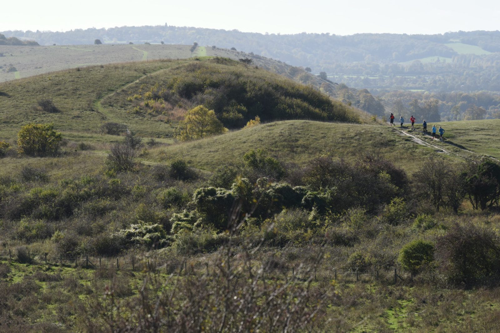 A scenic view of a hilly landscape with several people walking along a narrow path that winds through the hills. Trees and bushes are scattered across the grassy terrain, and a distant forested area is visible under a clear sky.