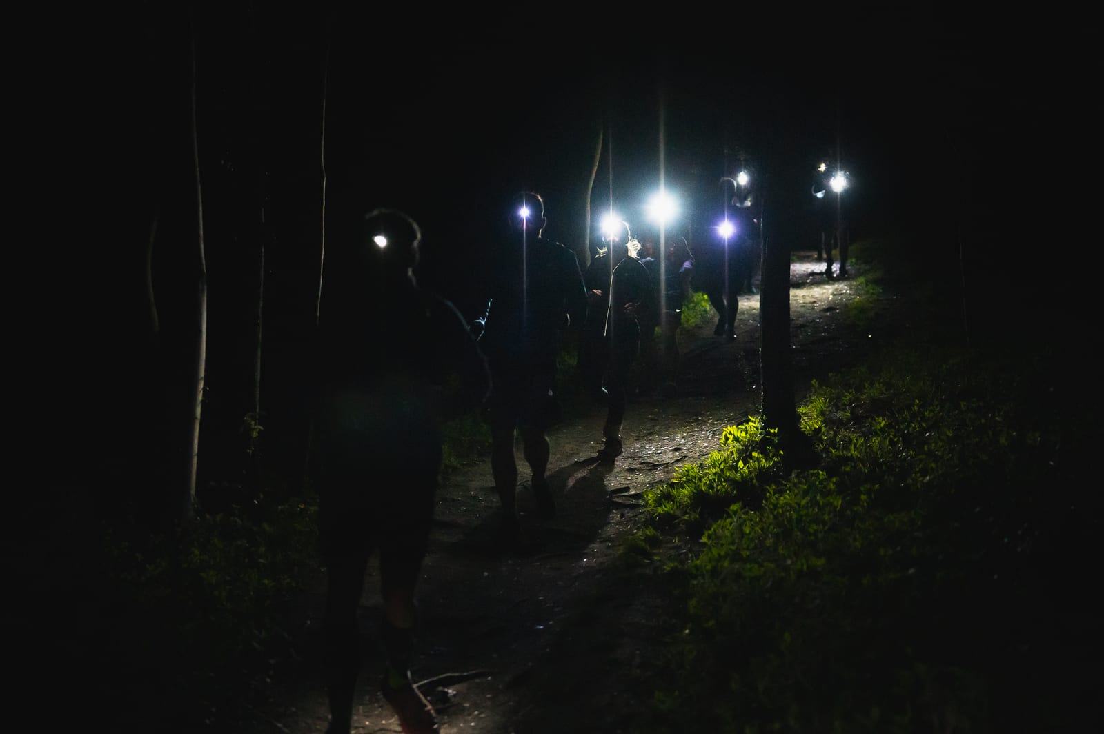 A group of runners is seen in the dark, illuminated only by bright headlamps. They are running along a forest path, with a few trees visible on either side and patches of foliage revealing the trail. The headlamps create a stark contrast against the night.