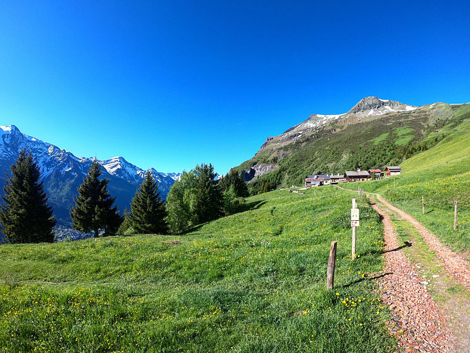 A scenic landscape with a dirt path leading to a cluster of buildings. The path is surrounded by lush, green grass and wildflowers. Tall trees dot the area, and snow-capped mountains are visible in the background under a clear blue sky.