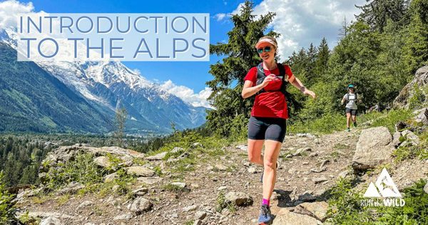 Introduction to the Alps - 29-31 May 2026